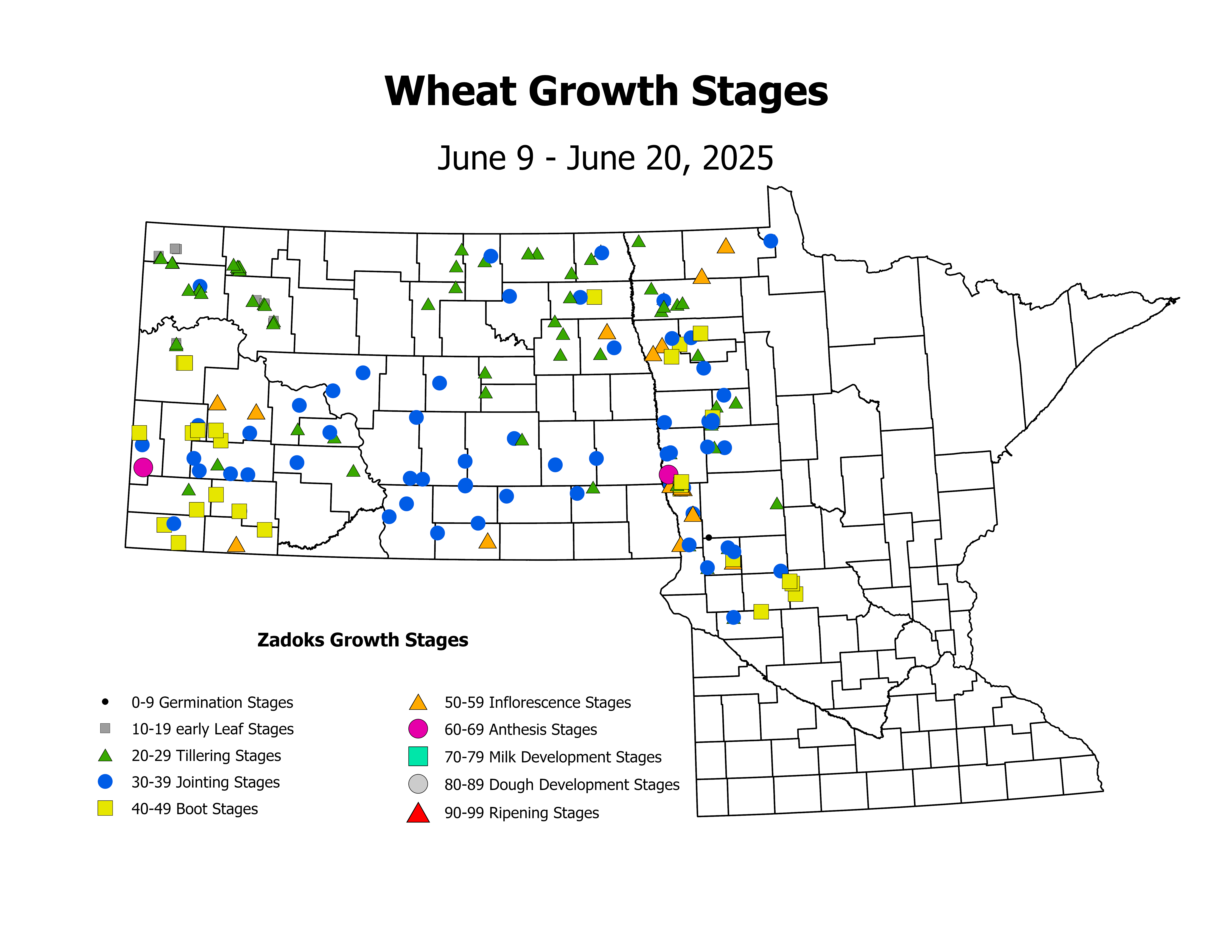 wheat_CropStage_2025June9ToJune20