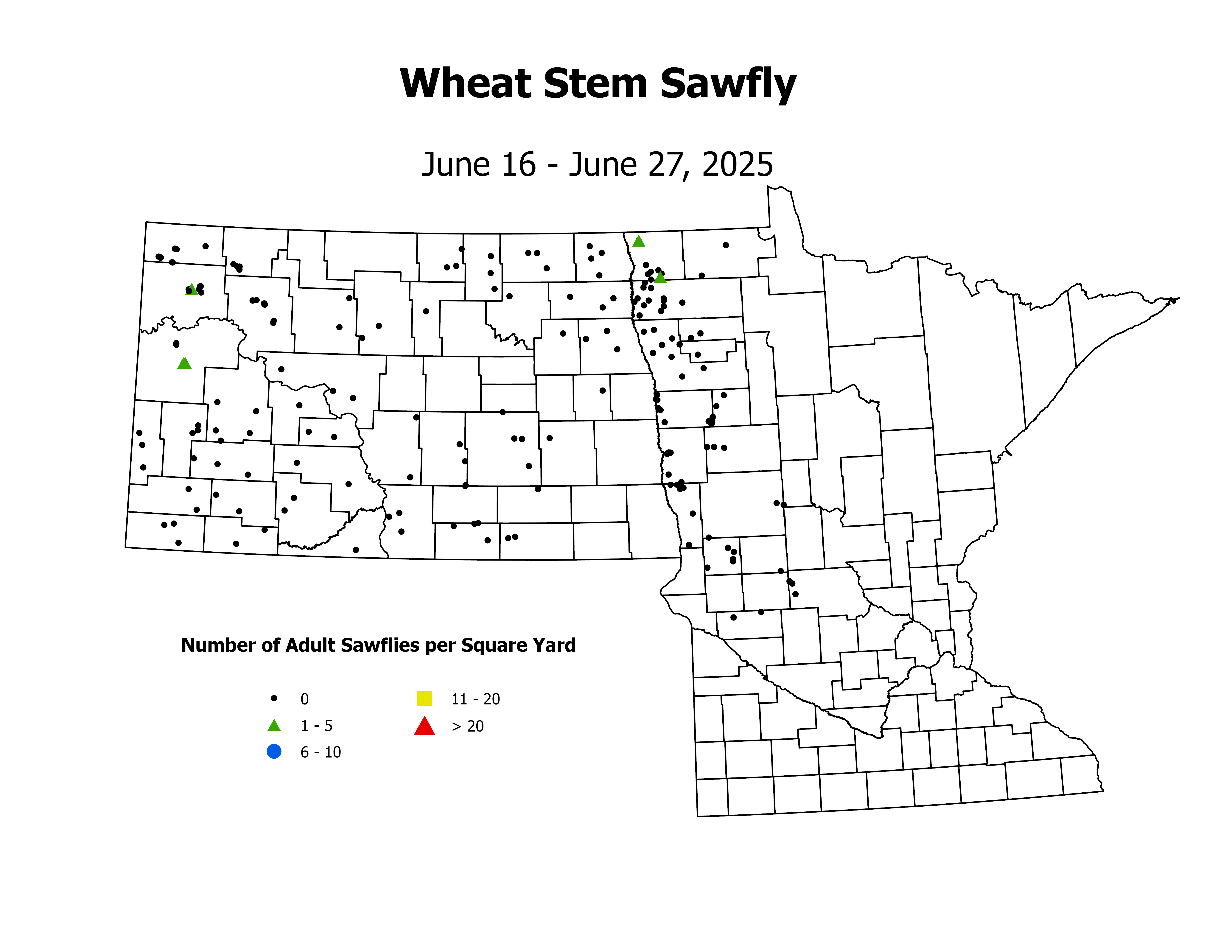 wheat_WSSF_sqyd_2025June16ToJune27