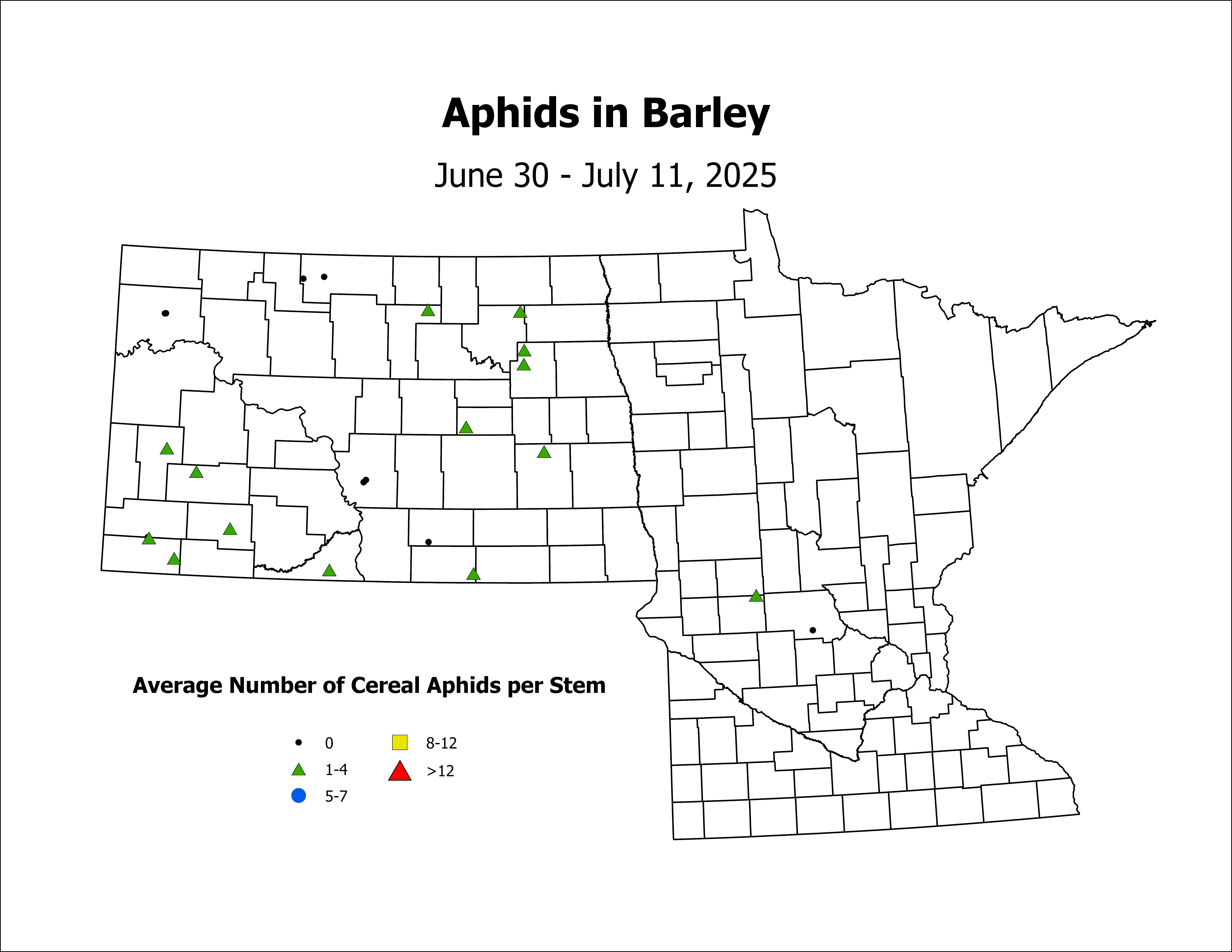 barley_Aph_Stem_2025June30ToJuly11