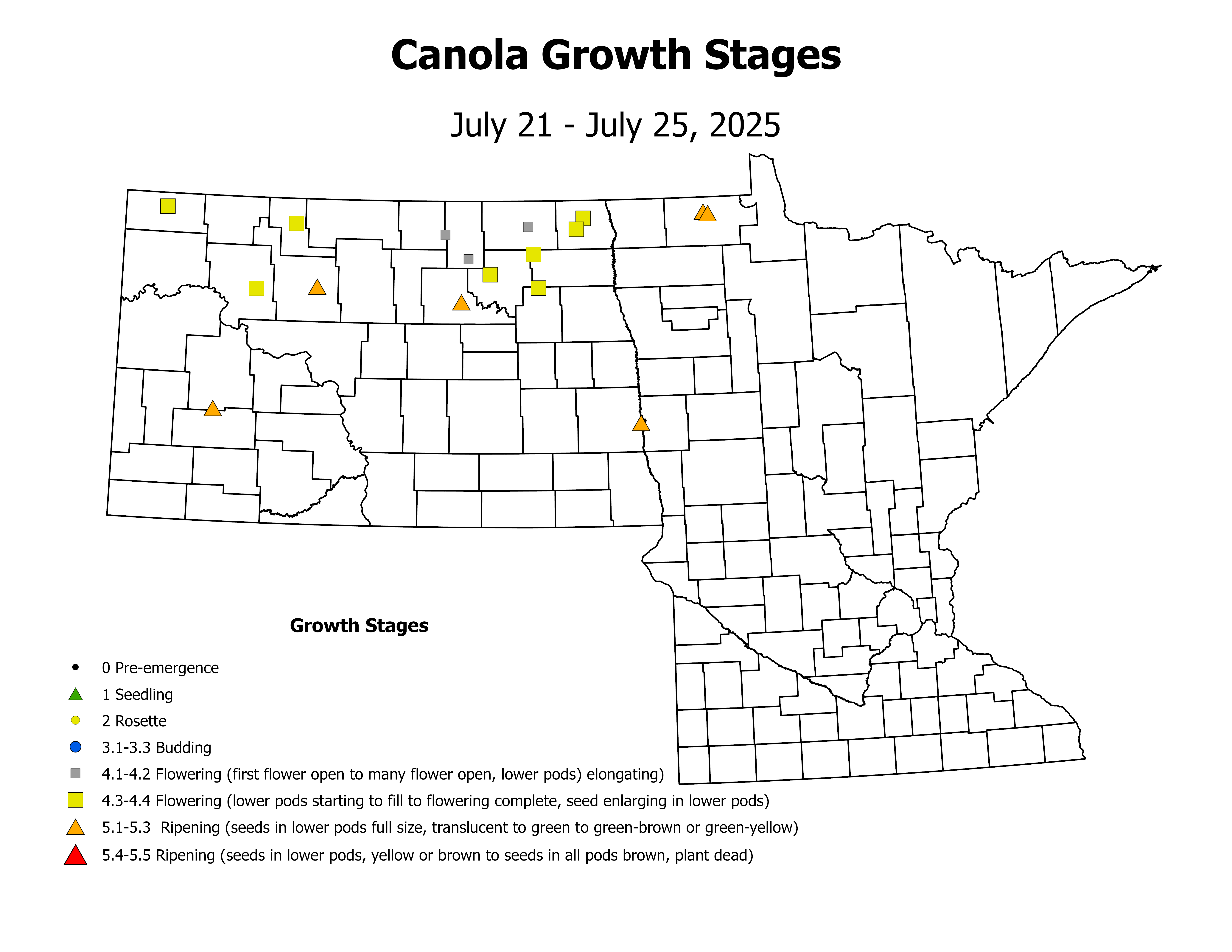 canolaInsectTrap_CropStage_2025July21ToJuly25