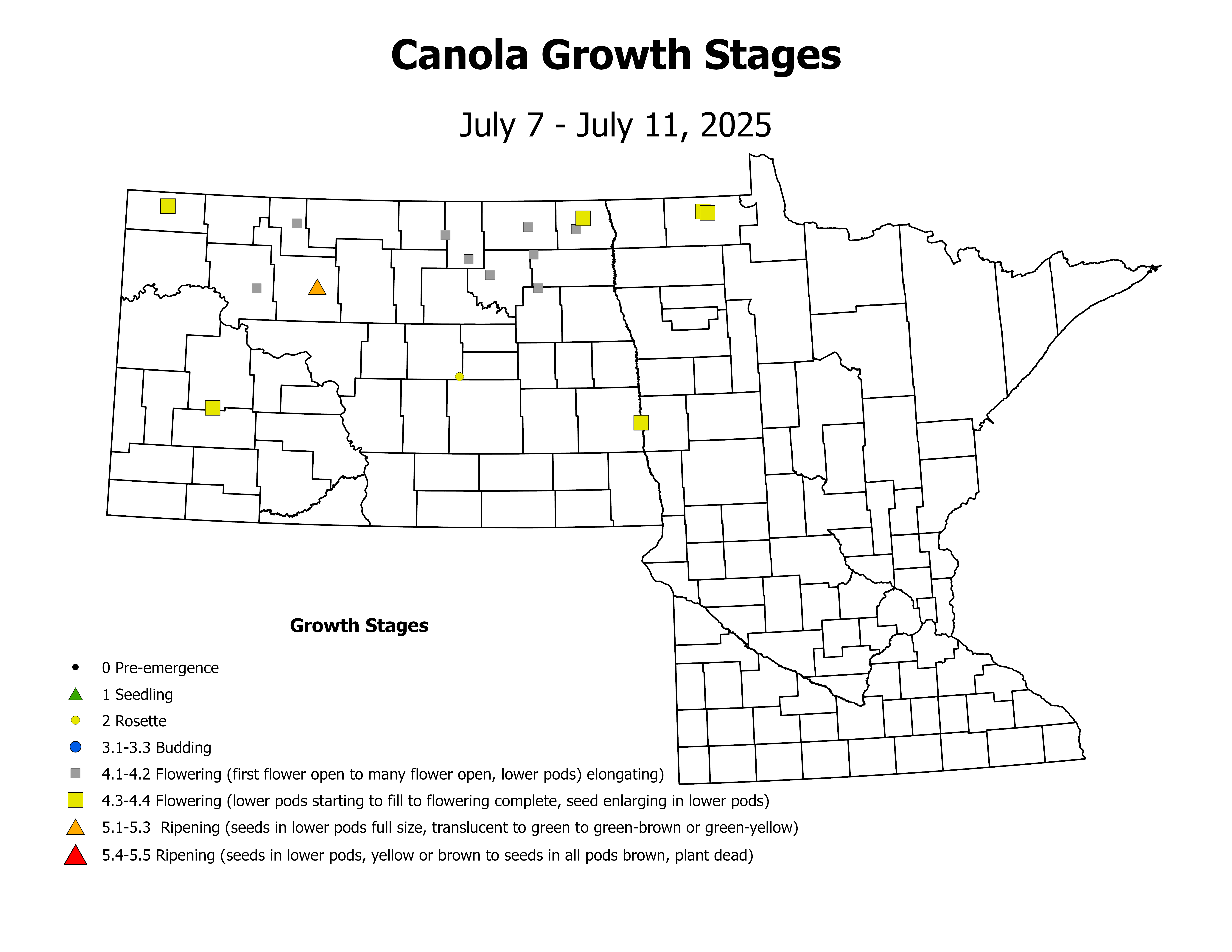 canolaInsectTrap_CropStage_2025July7ToJuly11