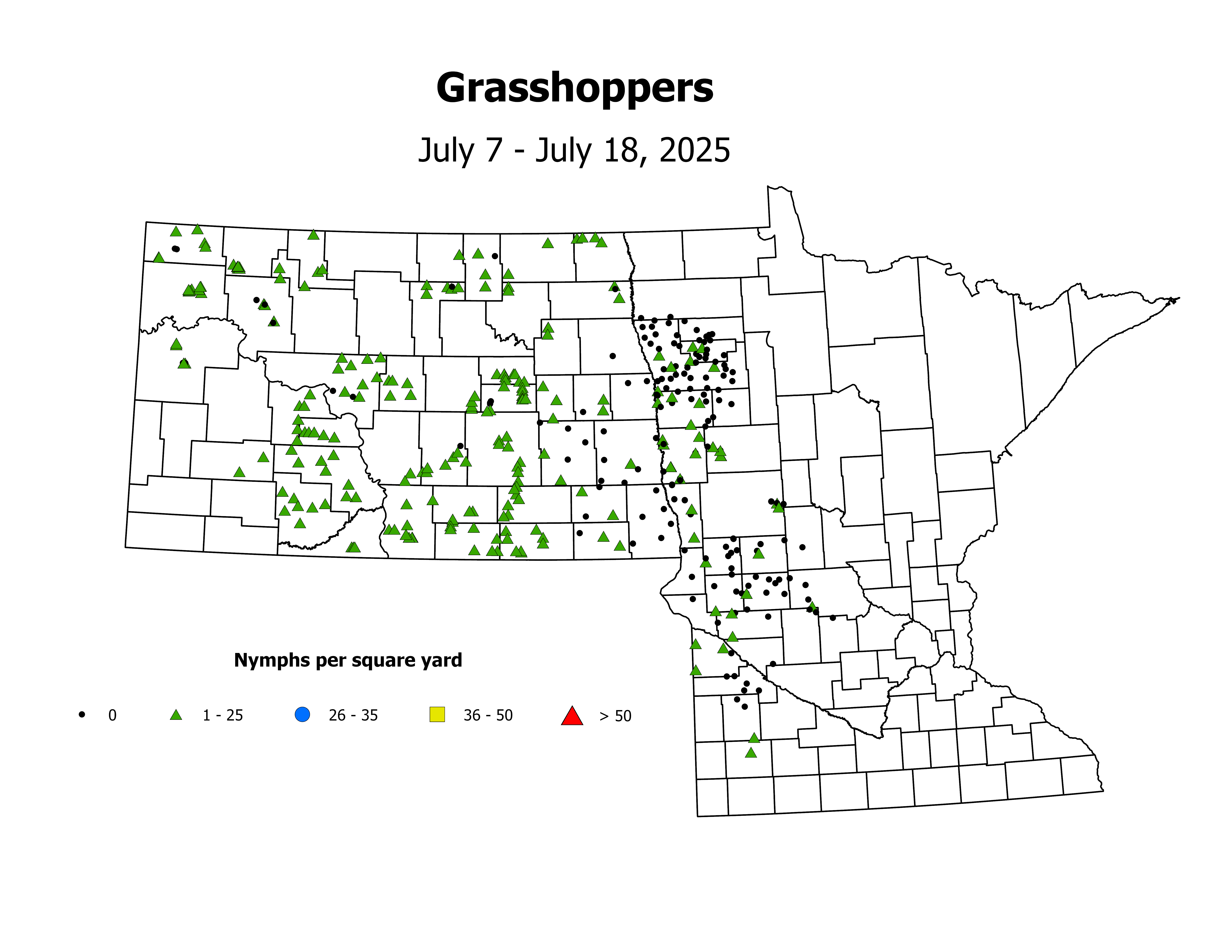 grasshopper_Nymph_sqyd_2025July7ToJuly18