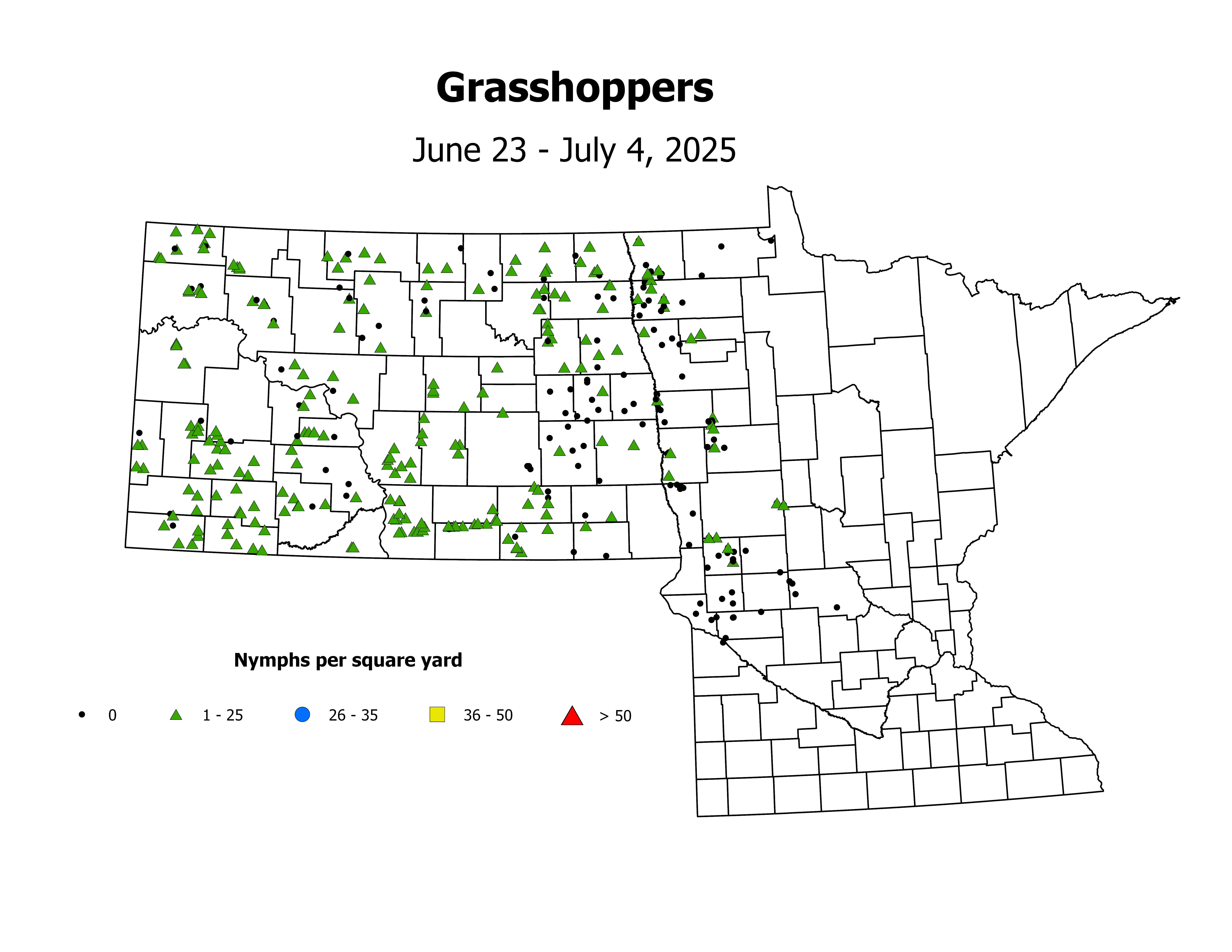 grasshopper_Nymph_sqyd_2025June23ToJuly4