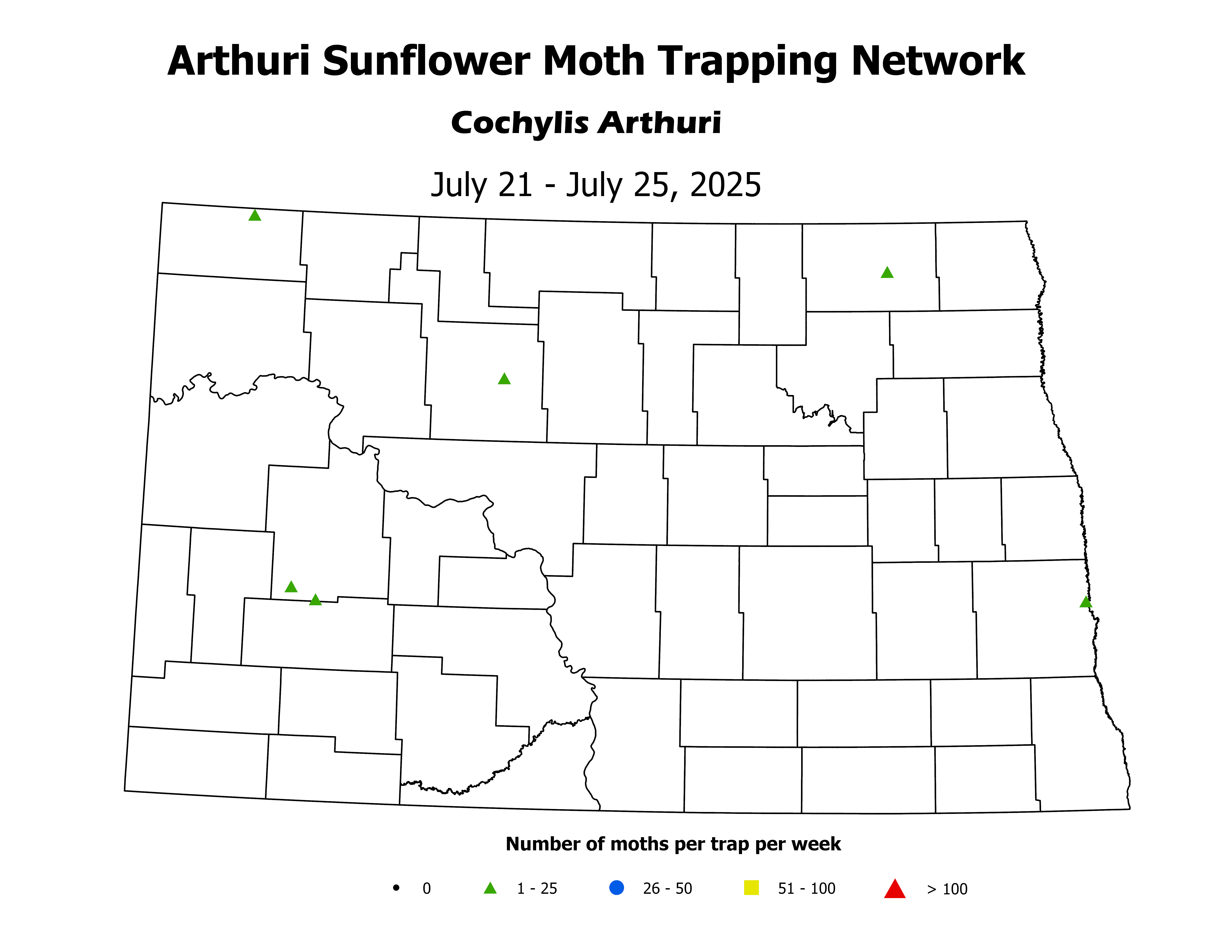 sunflowerInsectTrap_ASM_Count_2025July21ToJuly25