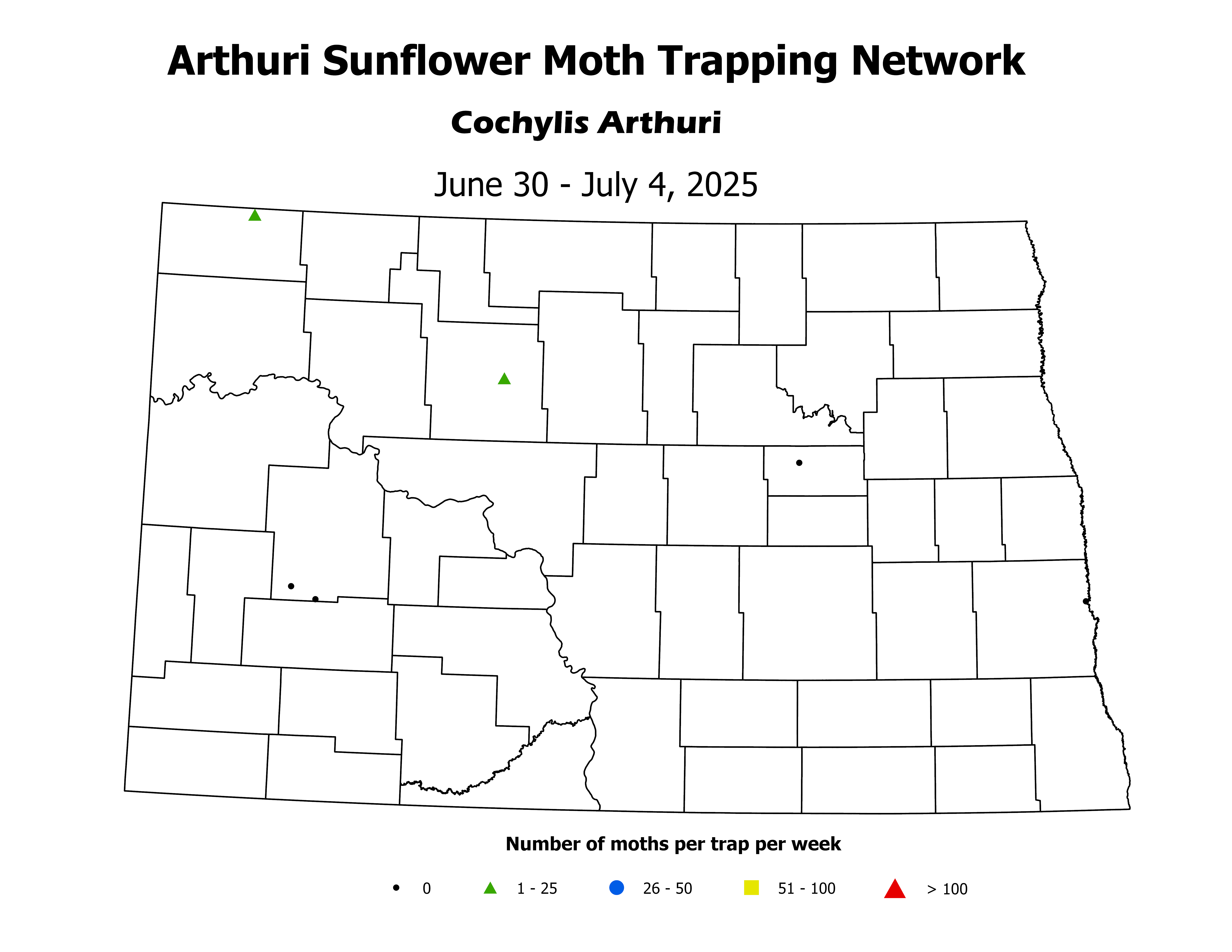 sunflowerInsectTrap_ASM_Count_2025June30ToJuly4