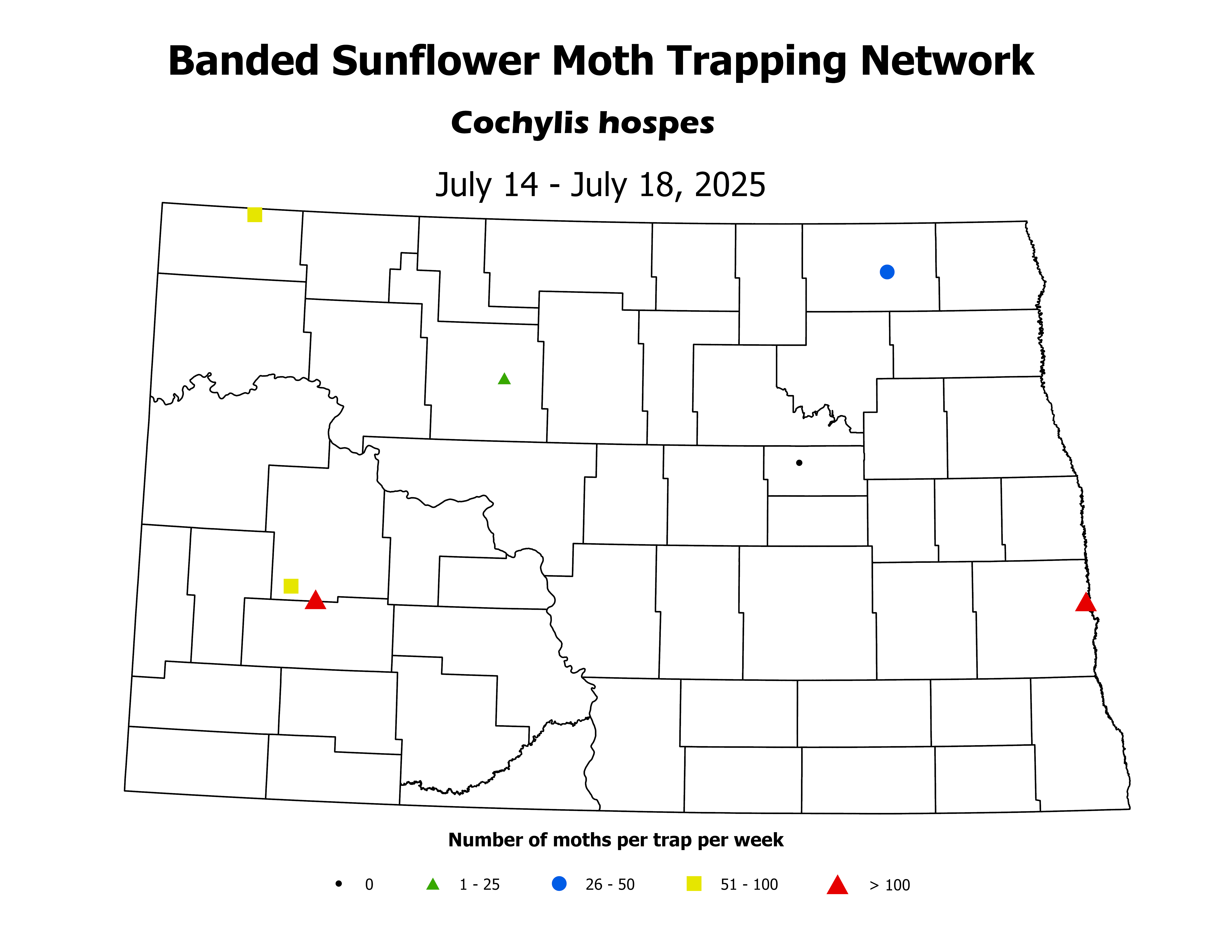 sunflowerInsectTrap_BSM_Count_2025July14ToJuly18