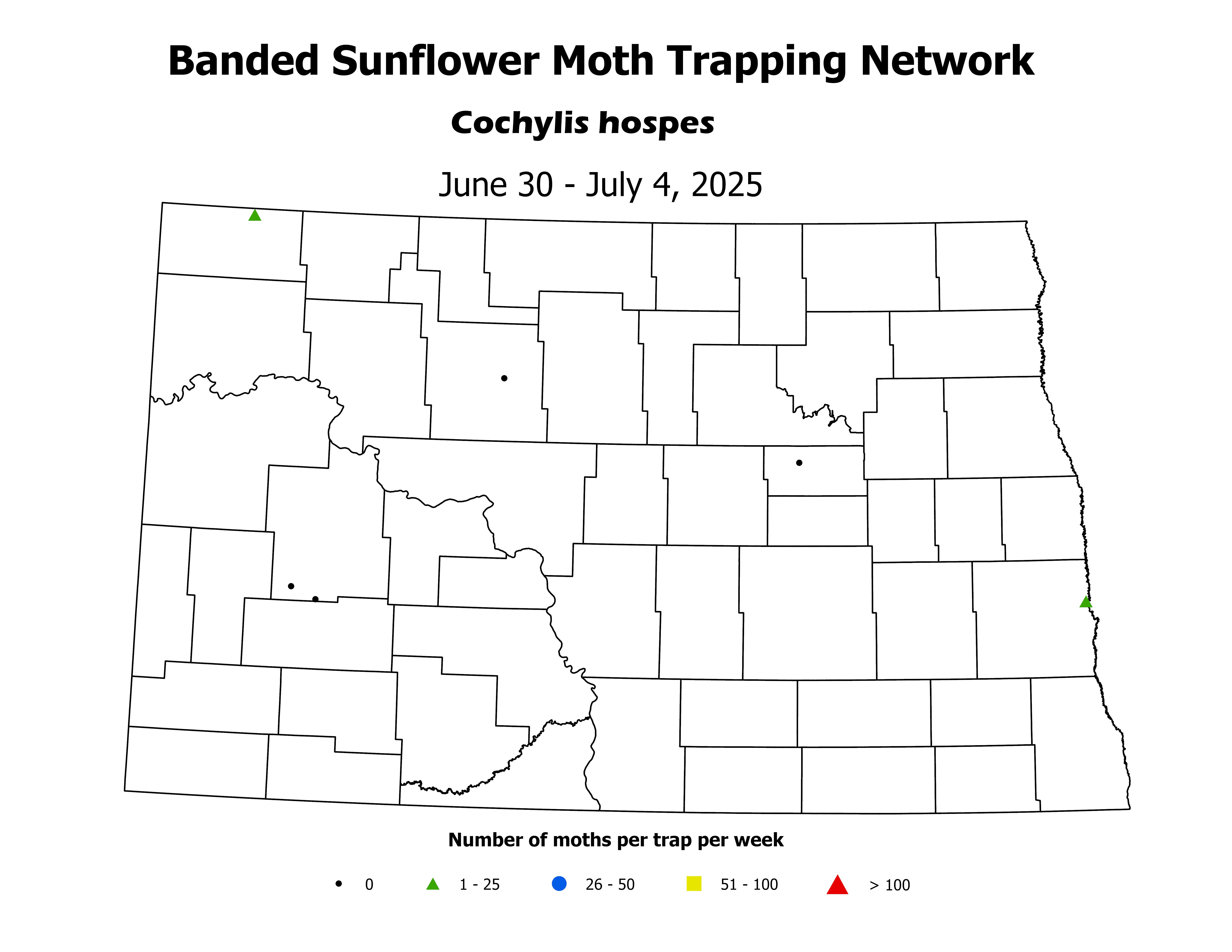 sunflowerInsectTrap_BSM_Count_2025June30ToJuly4