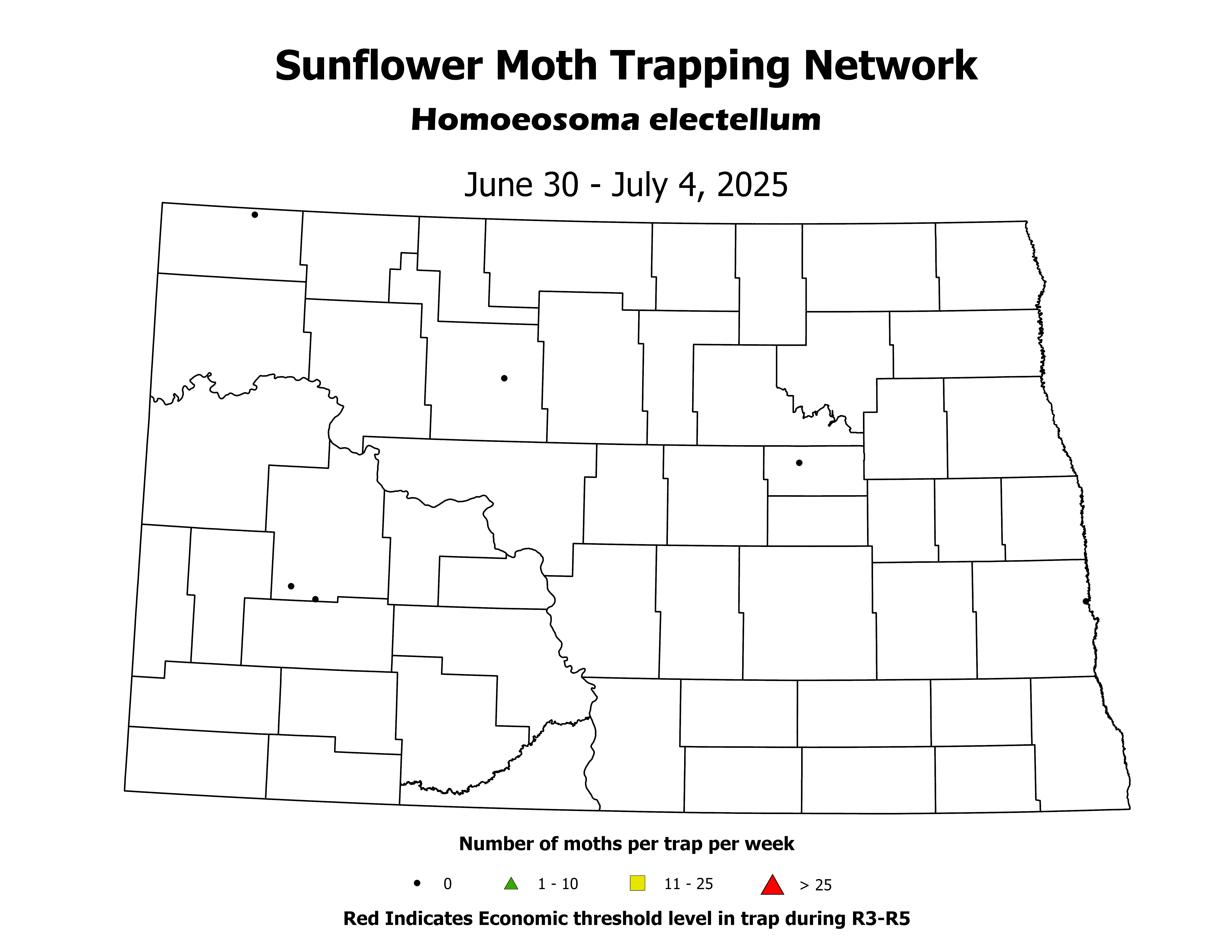 sunflowerInsectTrap_SM_Count_2025June30ToJuly4