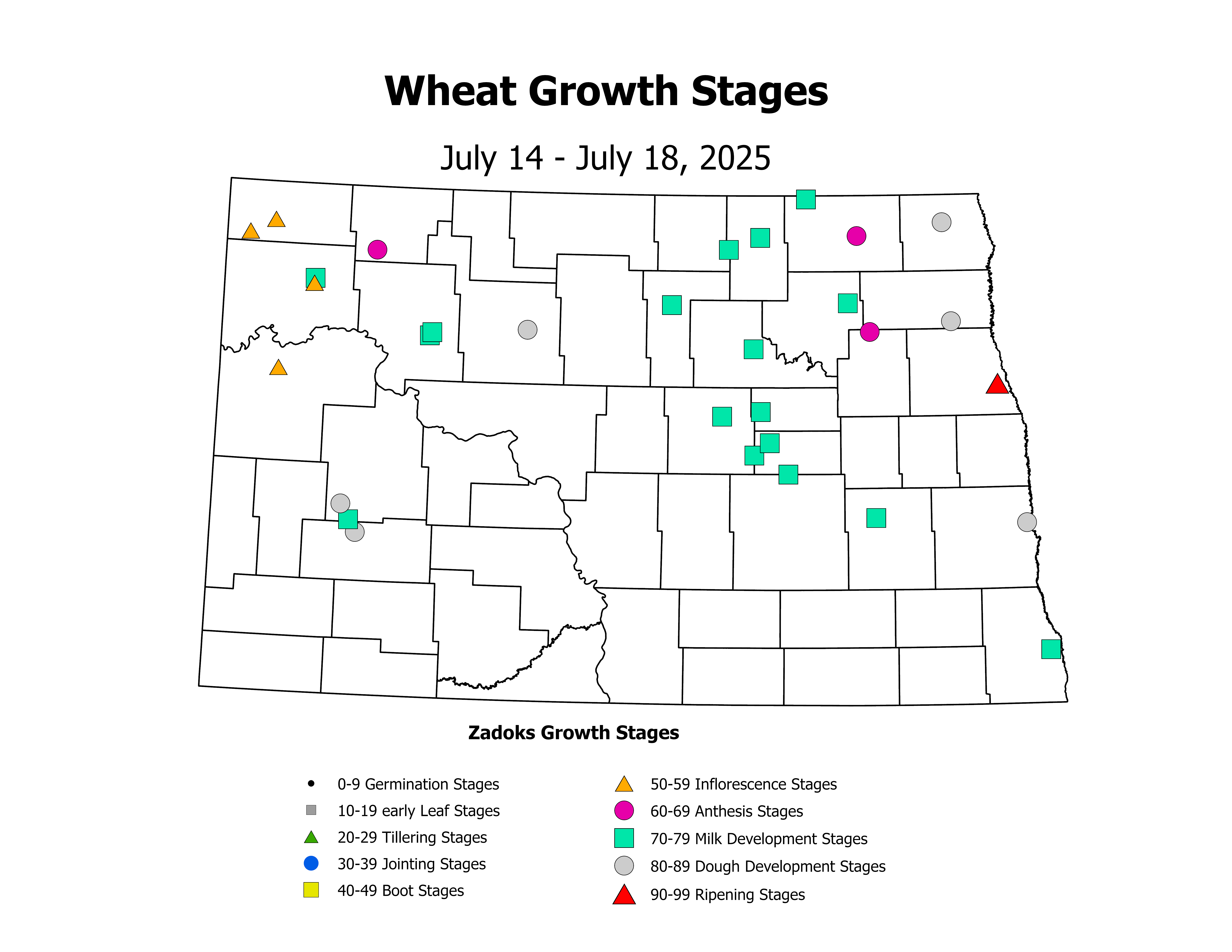 wheatInsectTrap_CropStage_2025July14ToJuly18