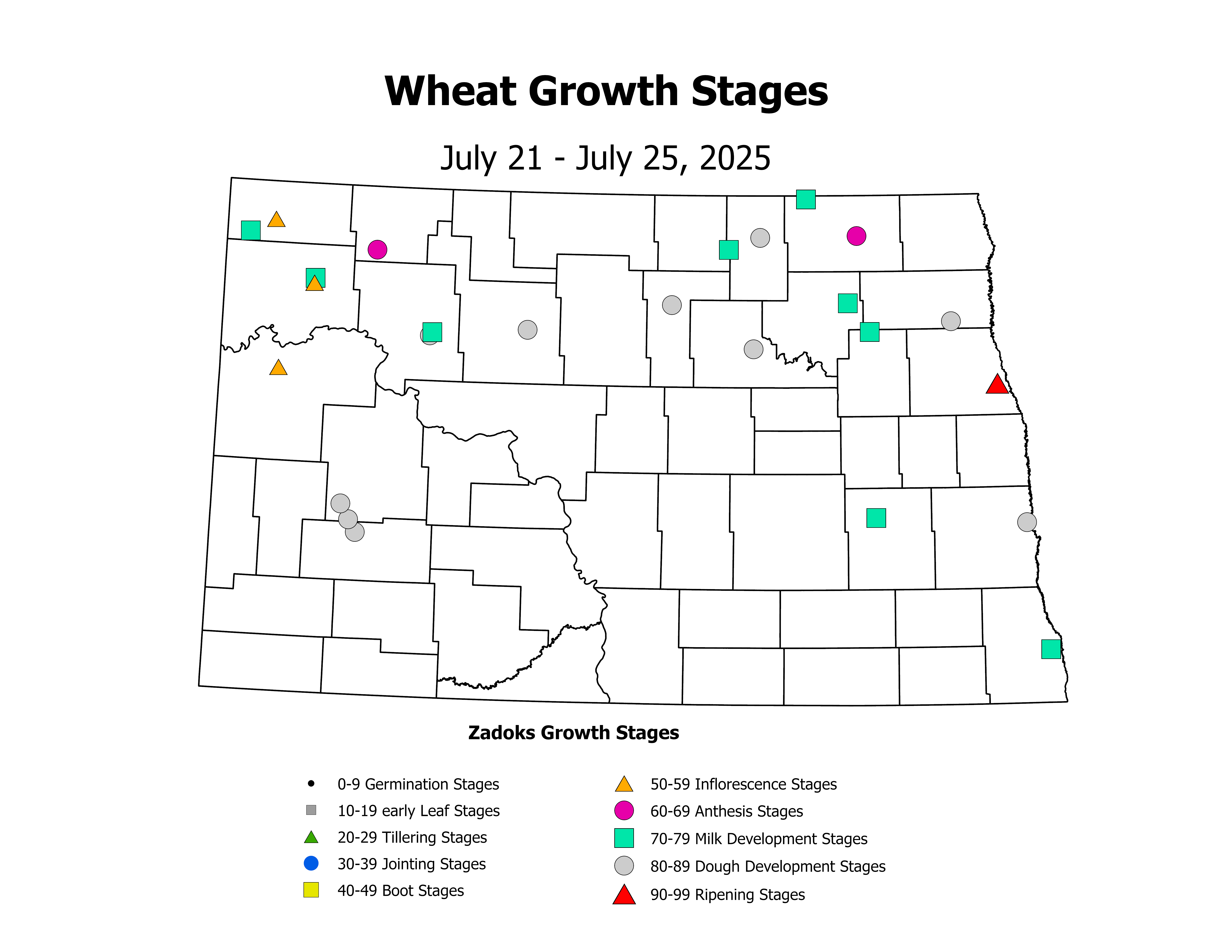wheatInsectTrap_CropStage_2025July21ToJuly25