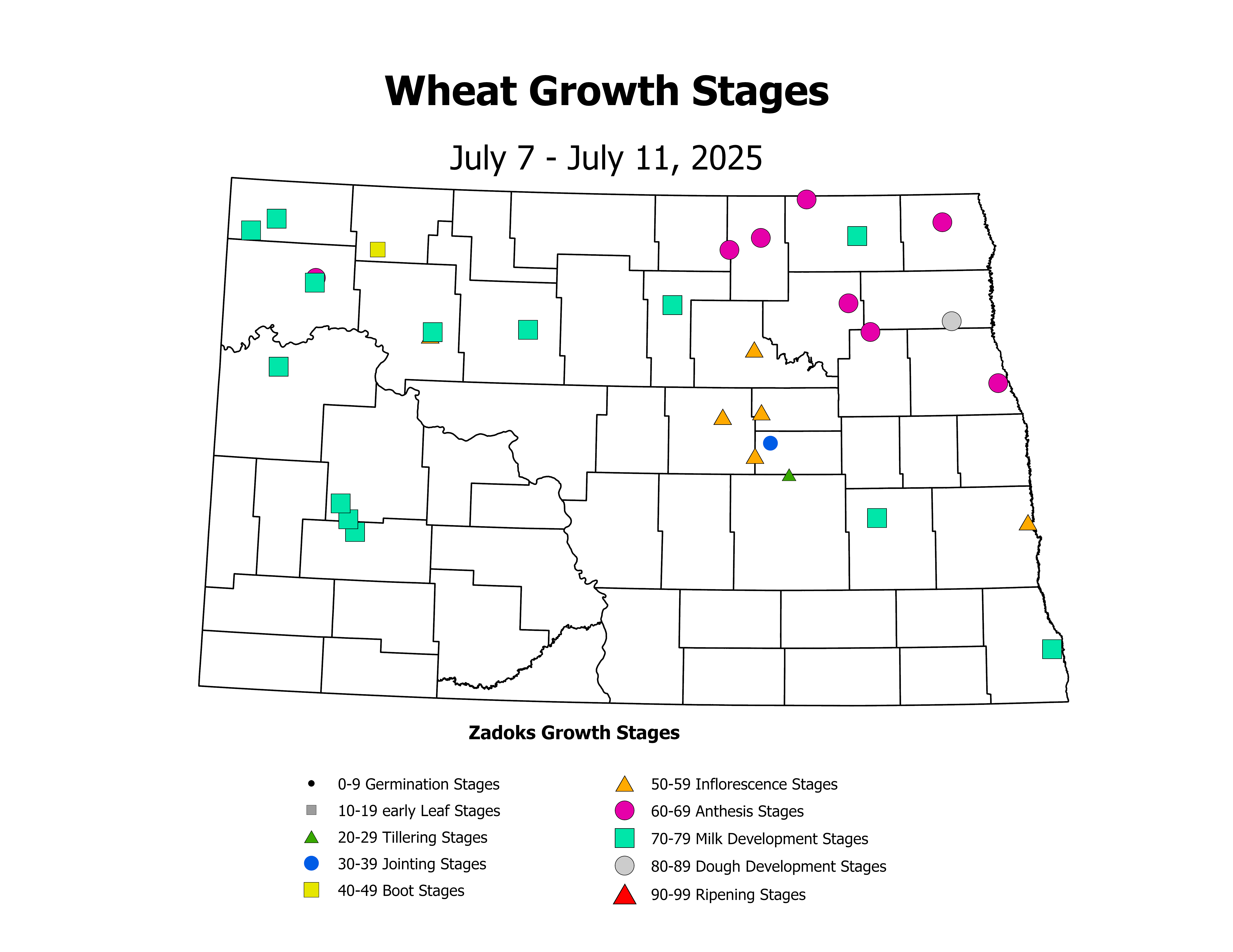 wheatInsectTrap_CropStage_2025July7ToJuly11