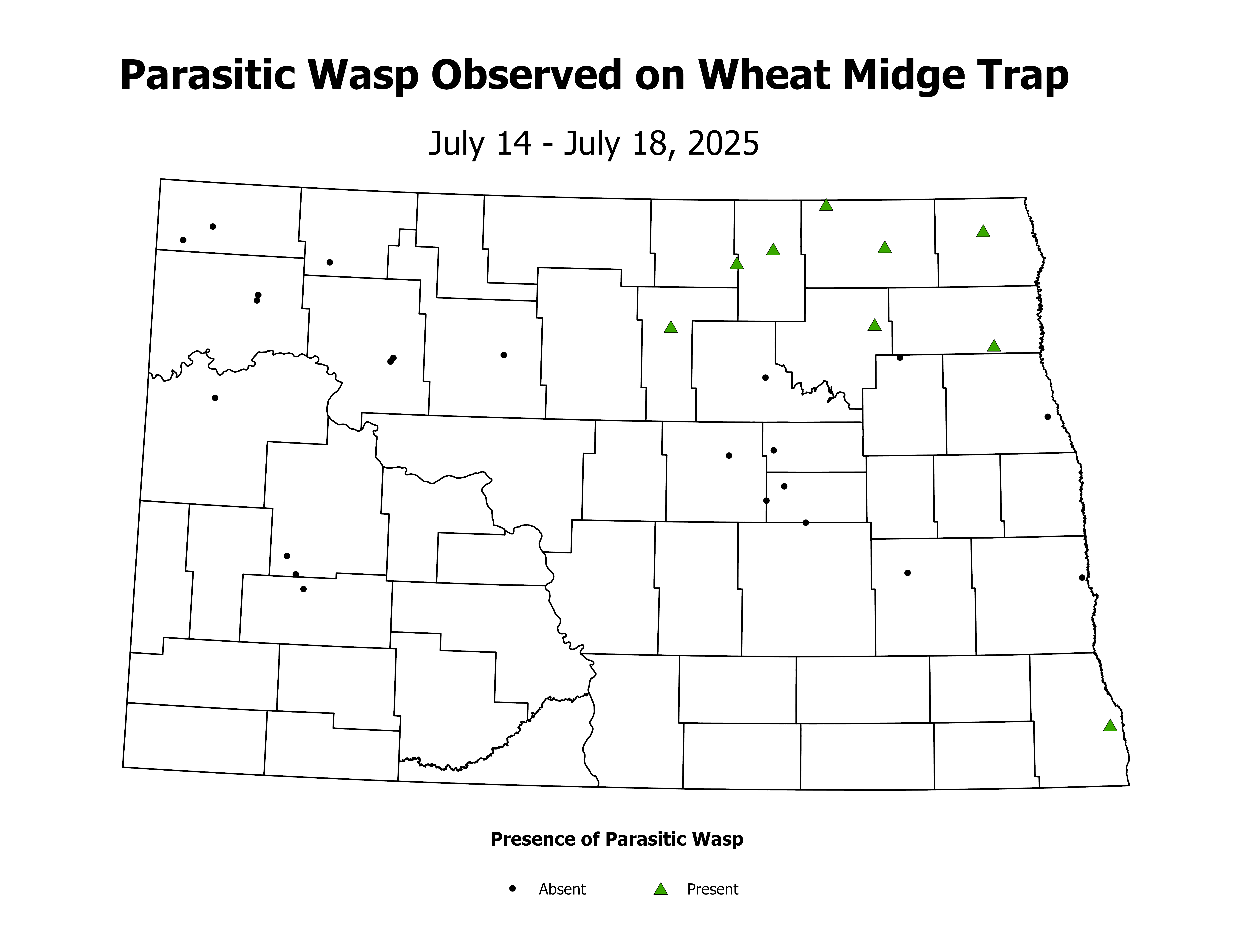 wheatInsectTrap_PARA_PRES_2025July14ToJuly18