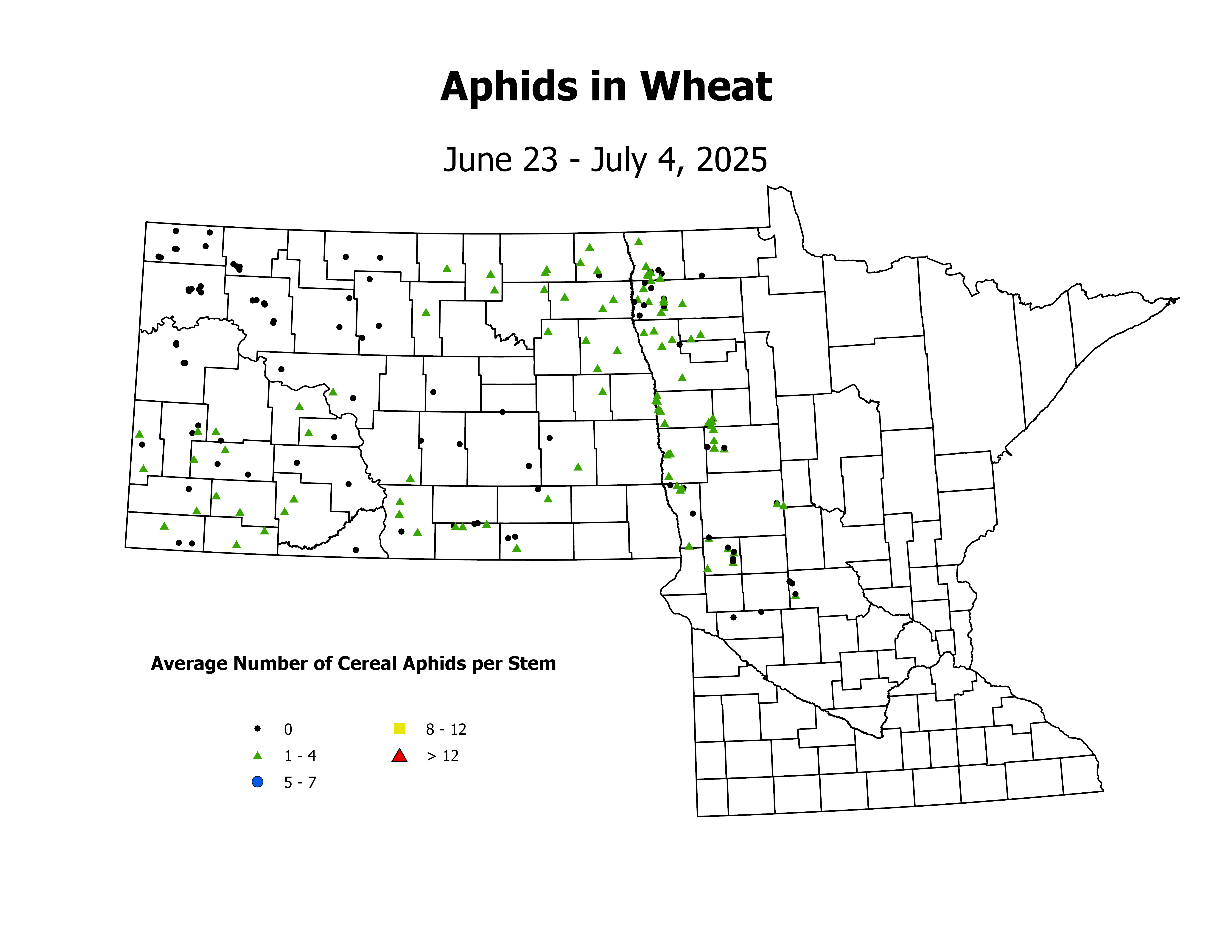wheat_Aph_Stem_2025June23ToJuly4
