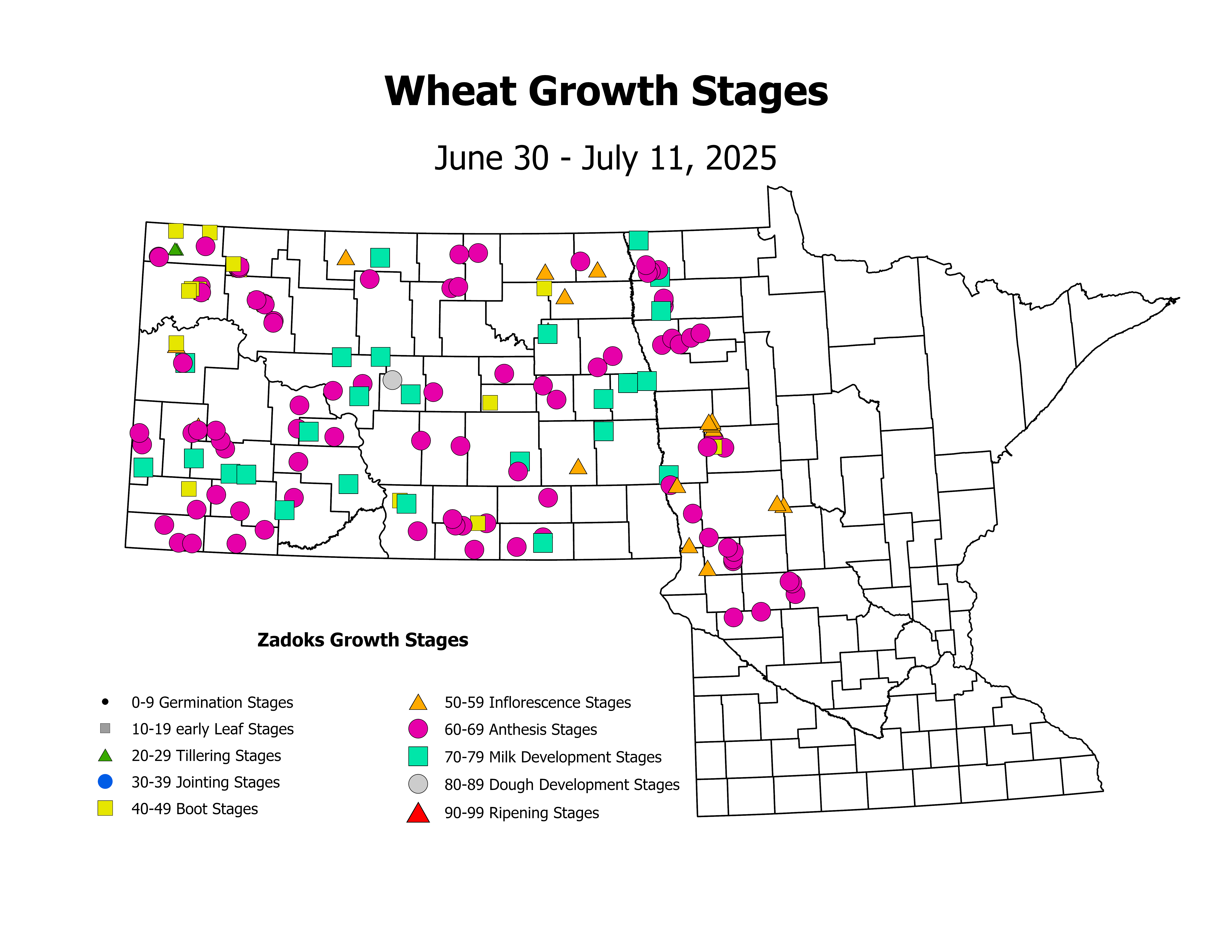 wheat_CropStage_2025June30ToJuly11