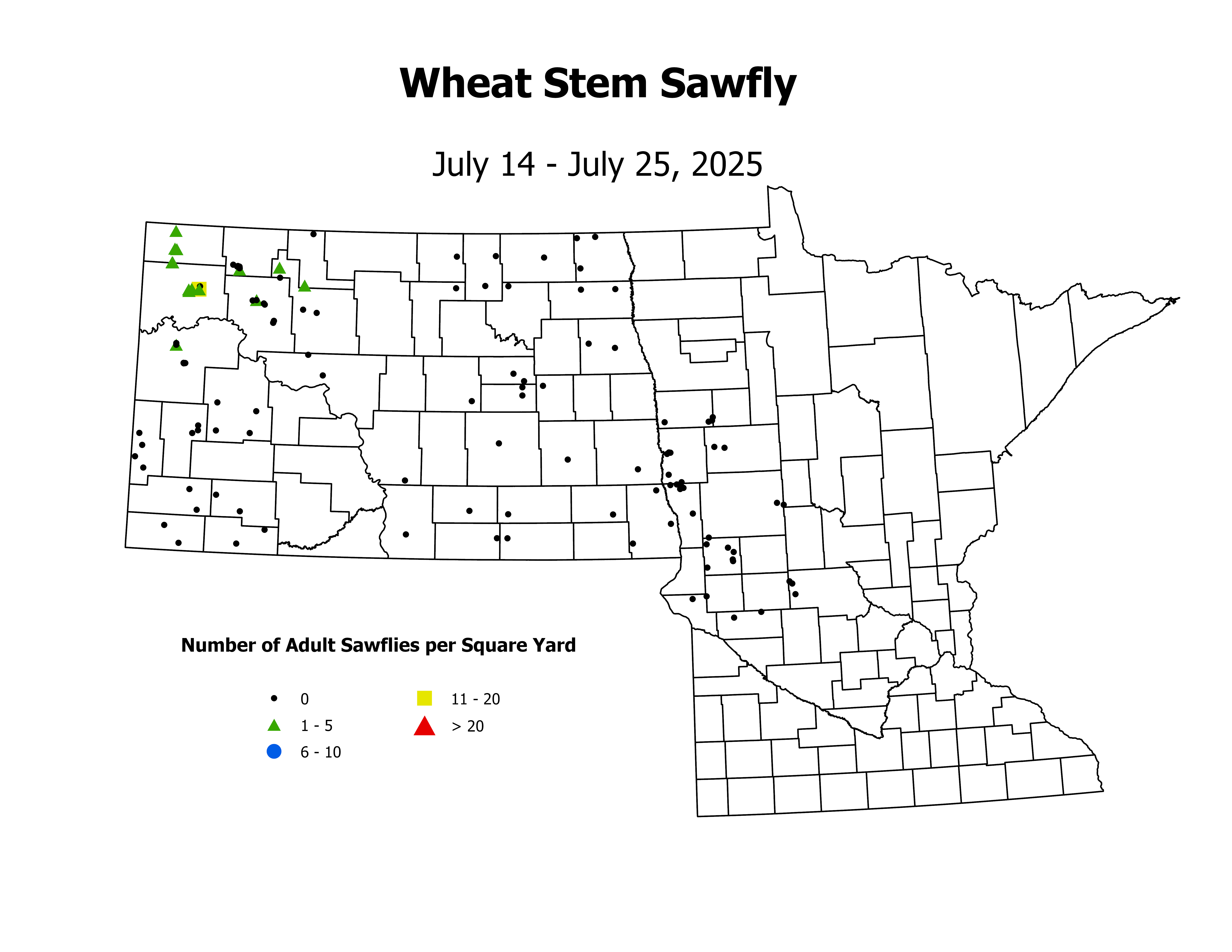 wheat_WSSF_sqyd_2025July14ToJuly25