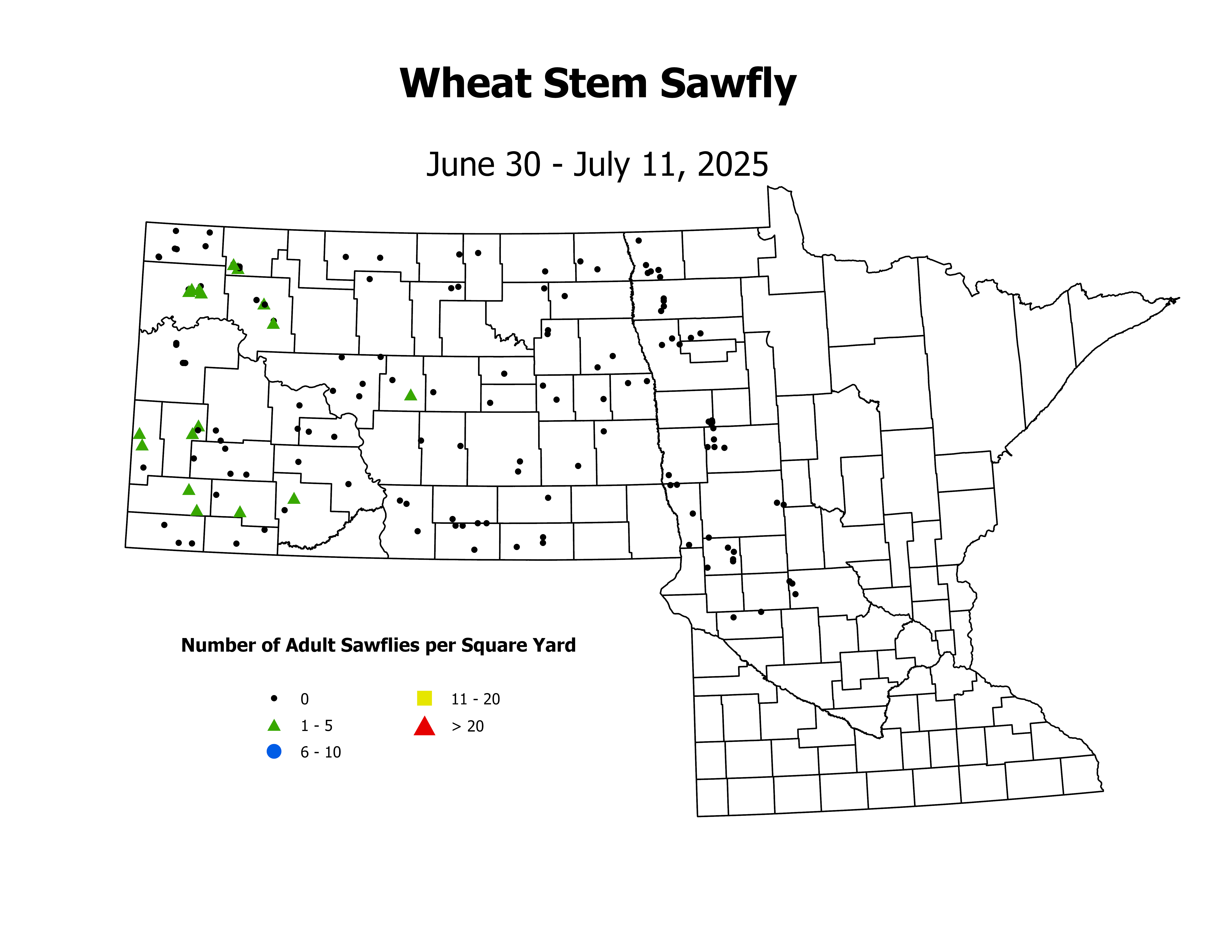 wheat_WSSF_sqyd_2025June30ToJuly11