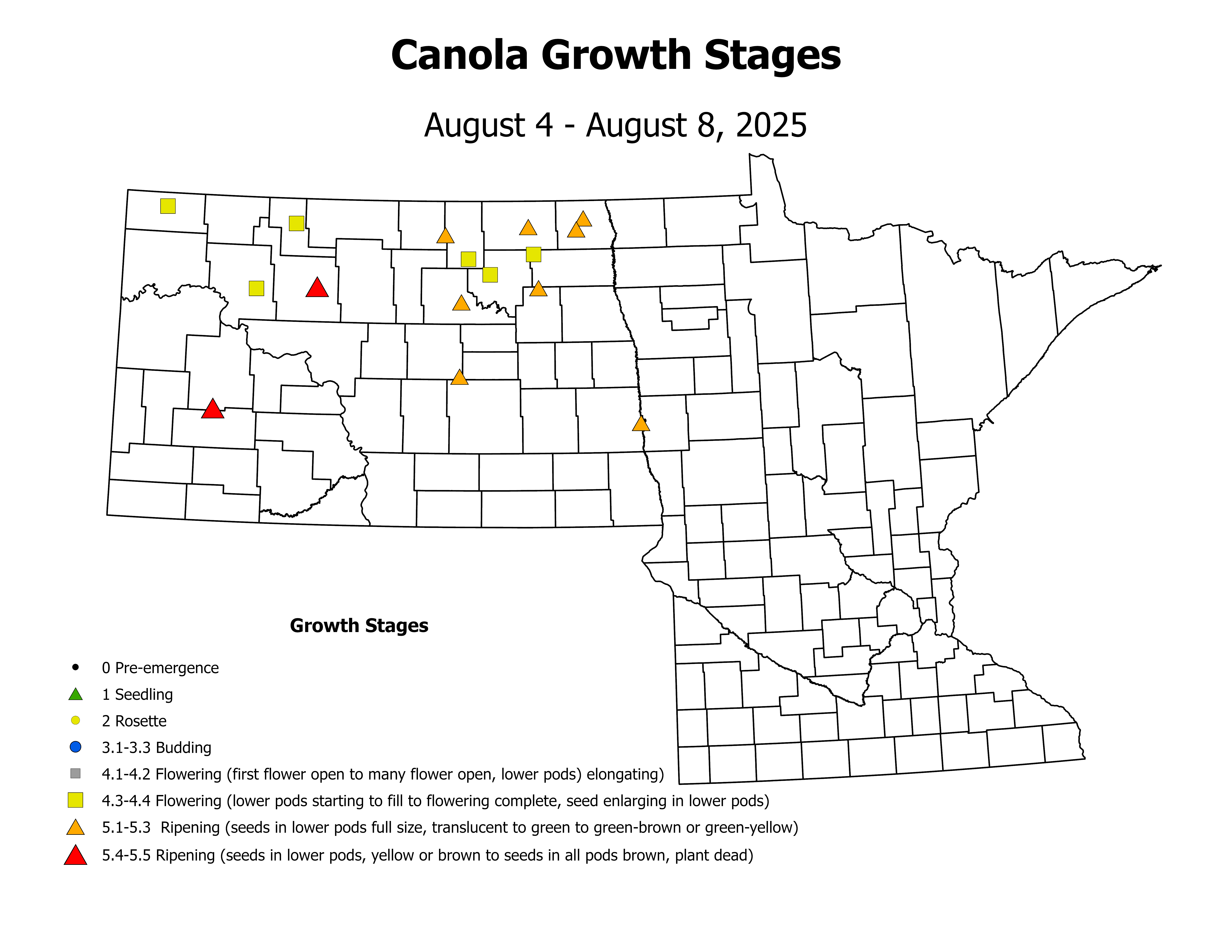 canolaInsectTrap_CropStage_2025August4ToAugust8