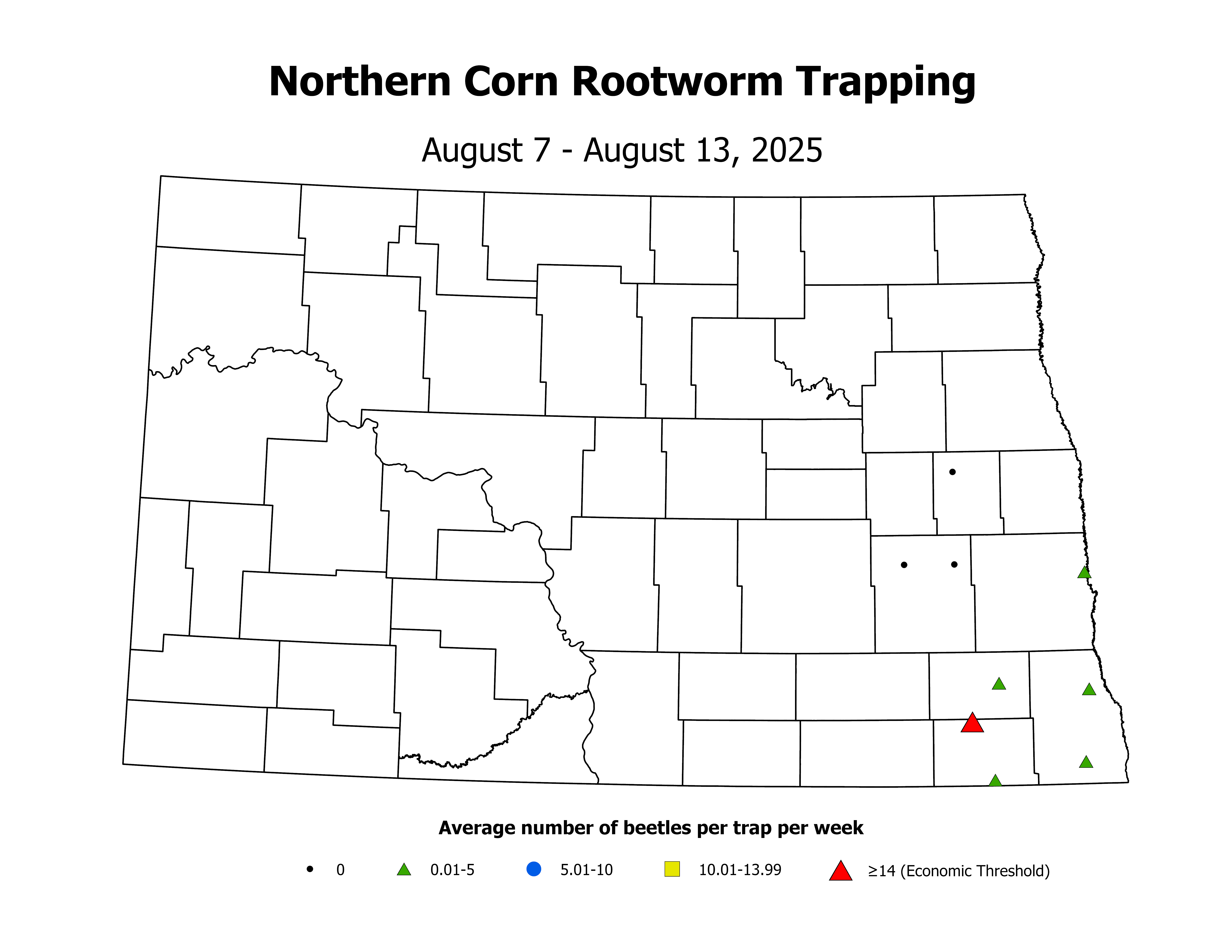 corn_Avg_NCR_2025August7ToAugust13