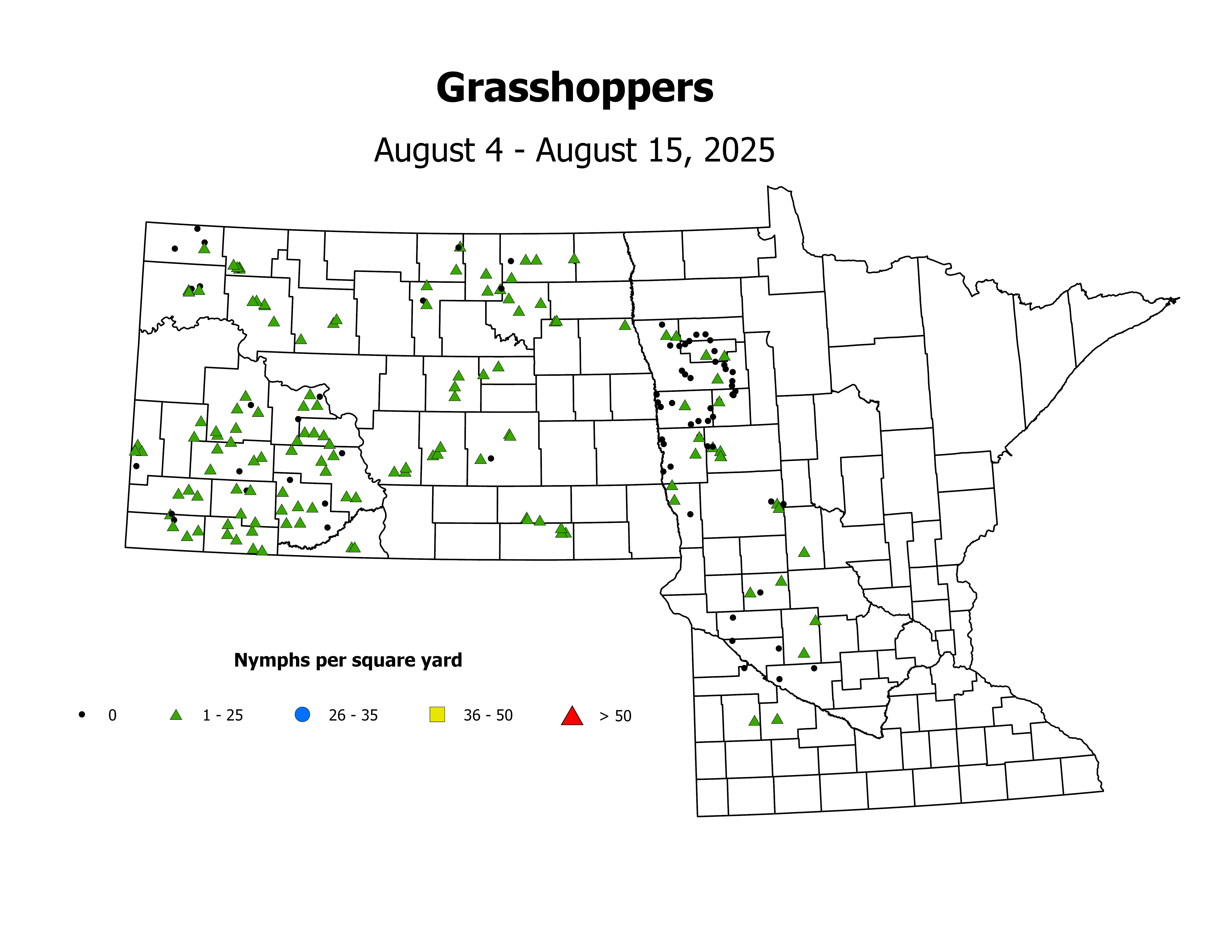 grasshopper_Nymph_sqyd_2025August4ToAugust15