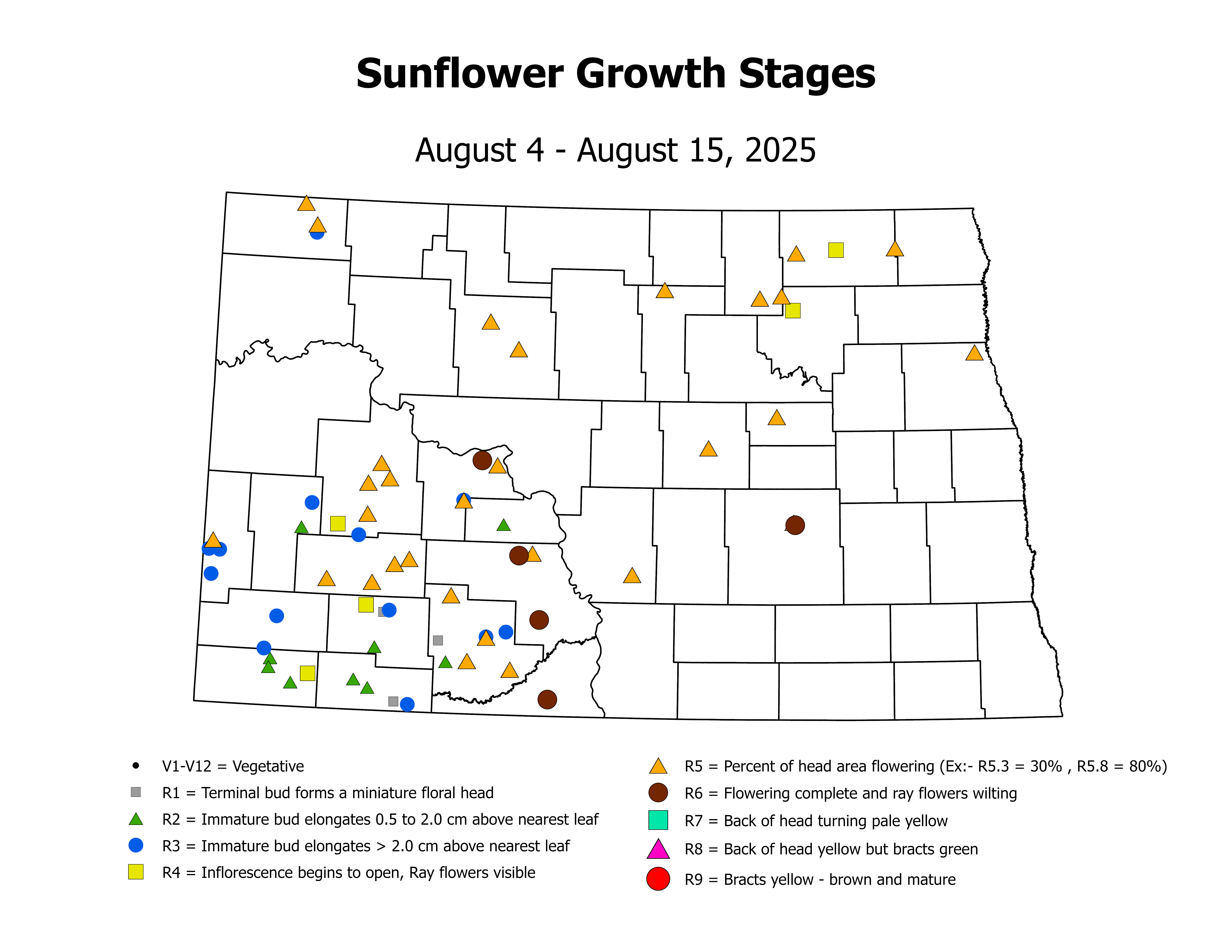 sunflower_CropStage_2025August4ToAugust15
