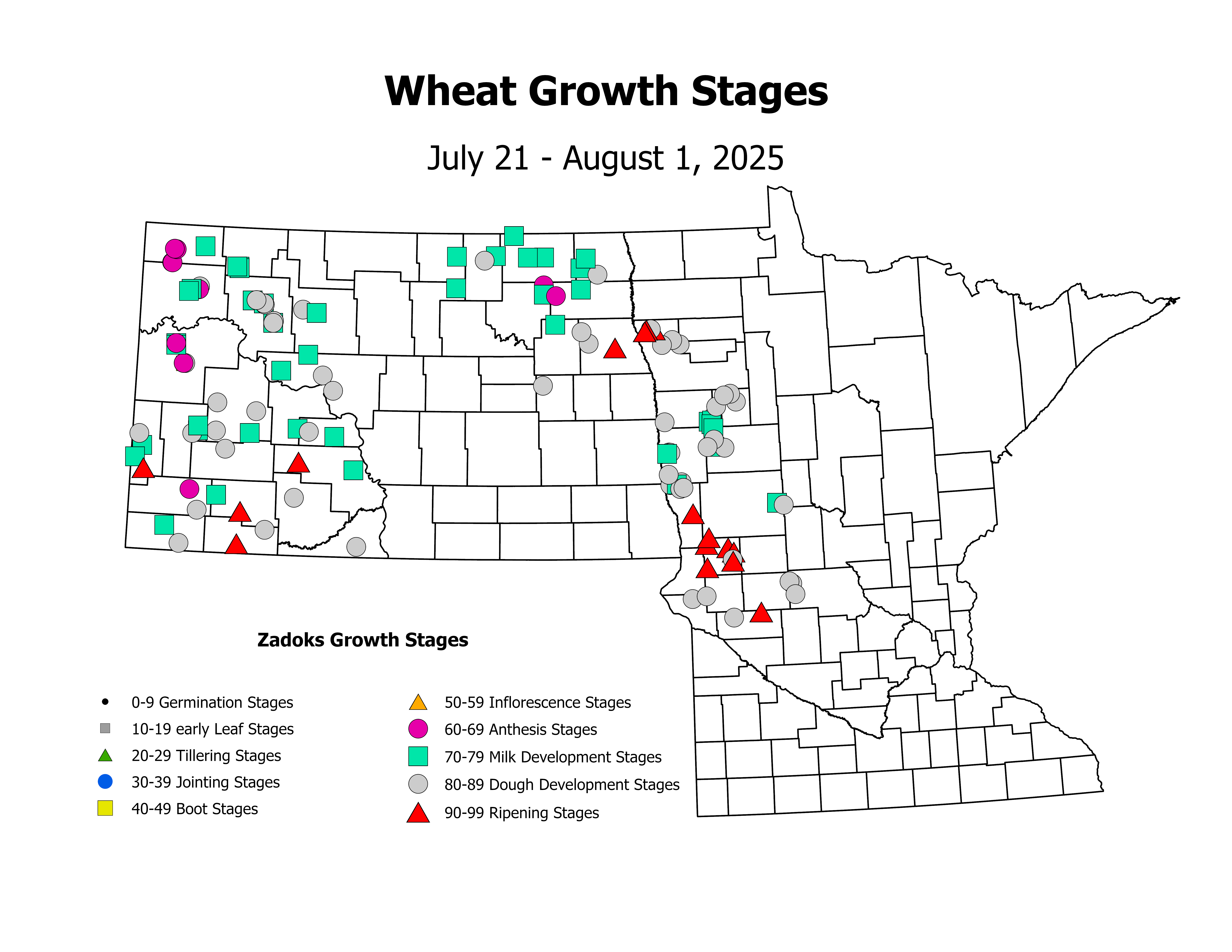 wheat_CropStage_2025July21ToAugust1