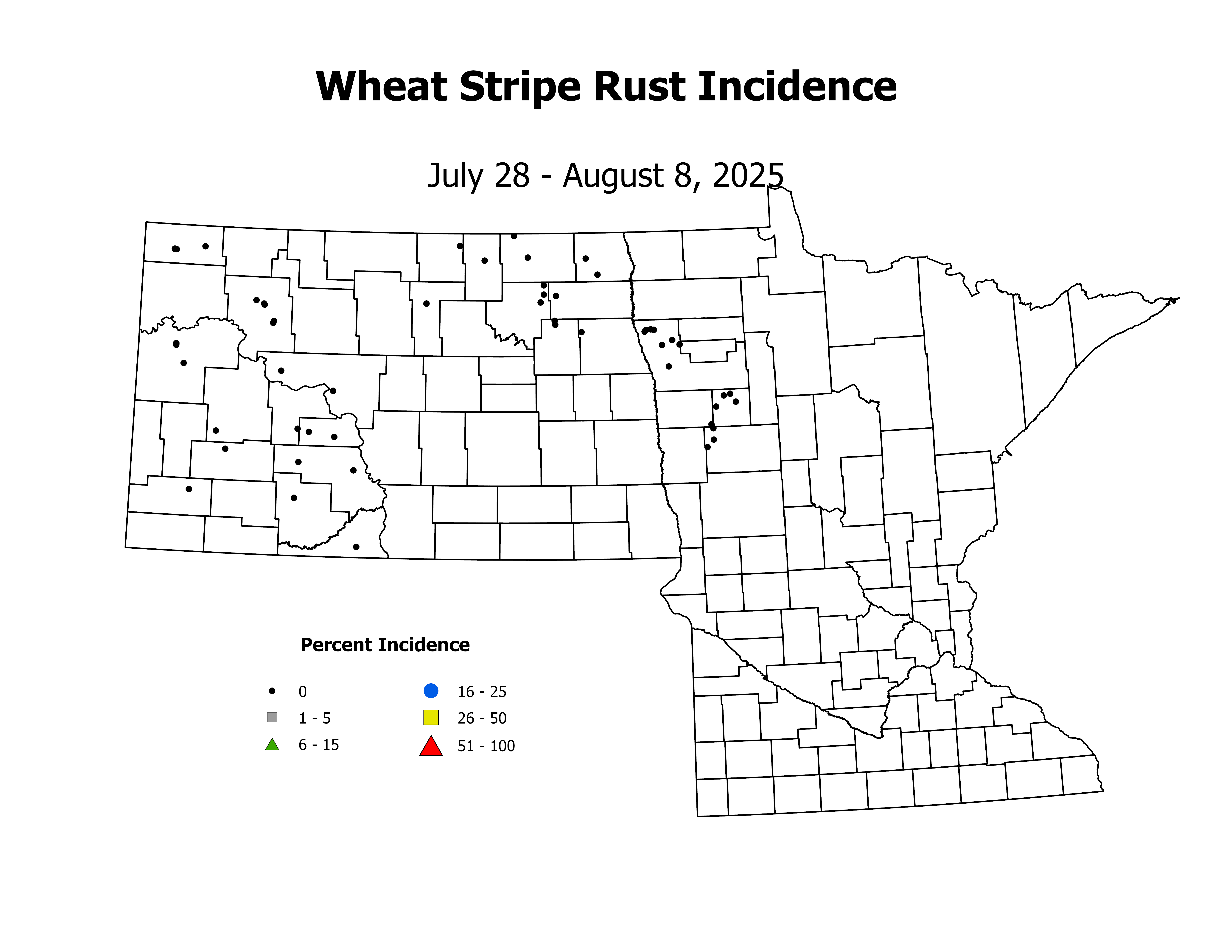 wheat_STPR_INC_2025July28ToAugust8