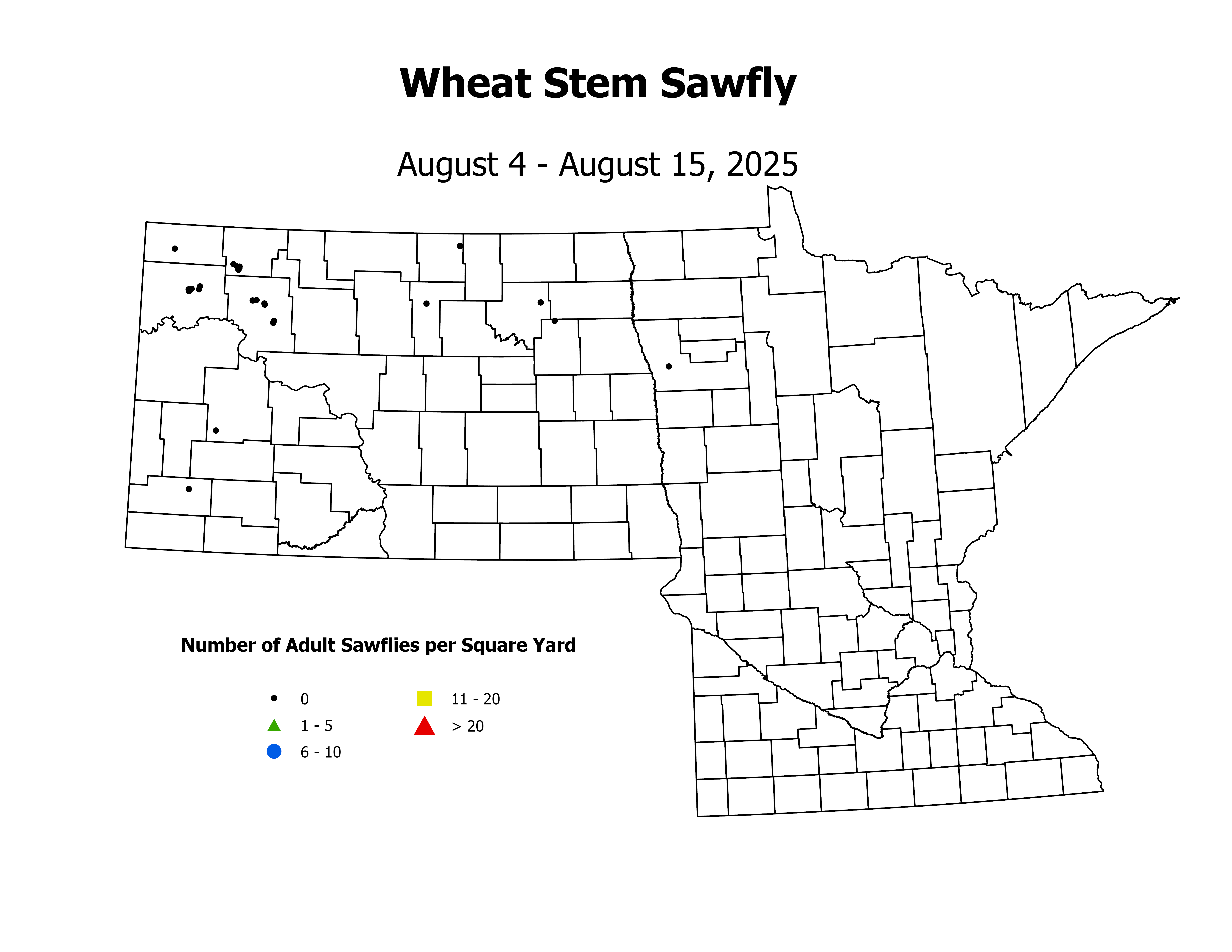 wheat_WSSF_sqyd_2025August4ToAugust15