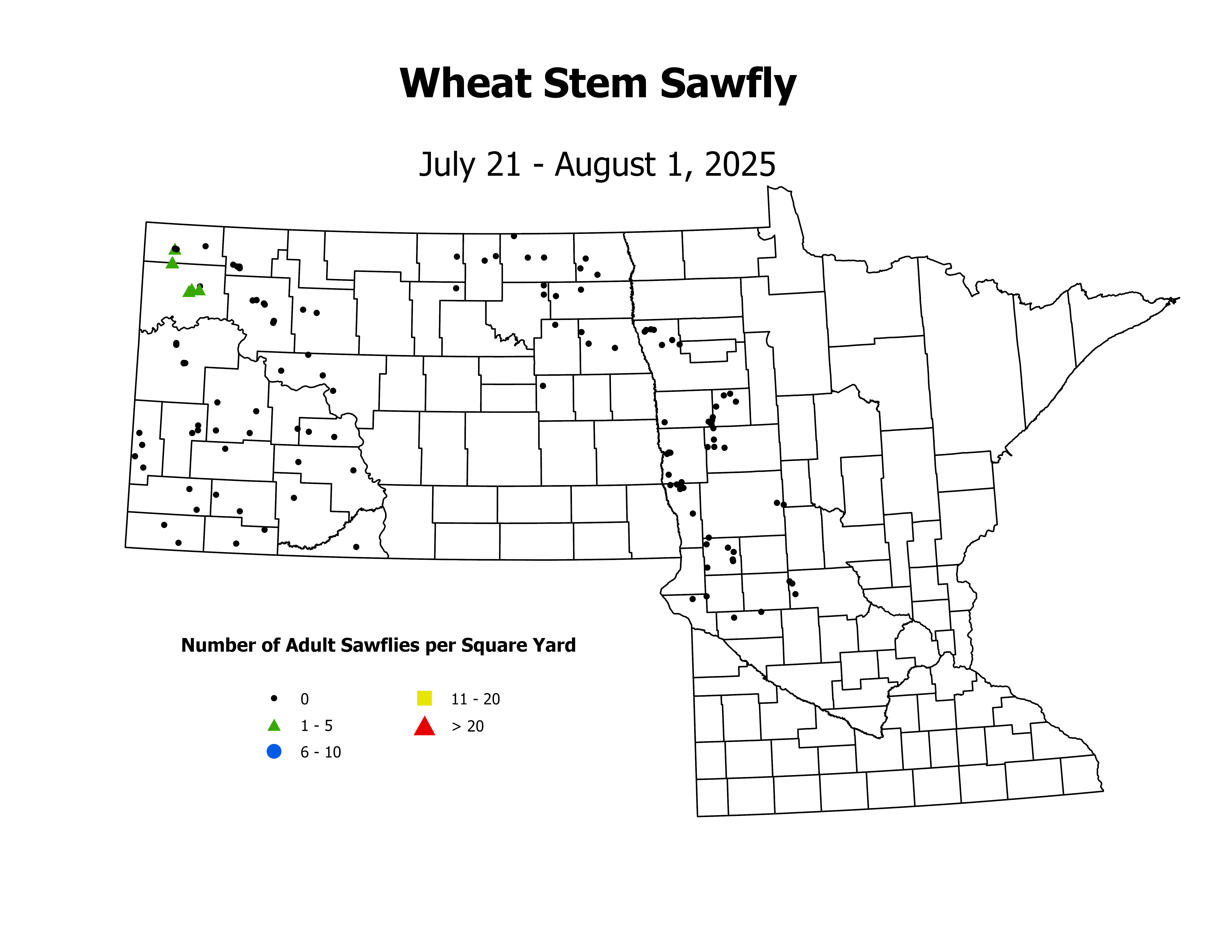 wheat_WSSF_sqyd_2025July21ToAugust1