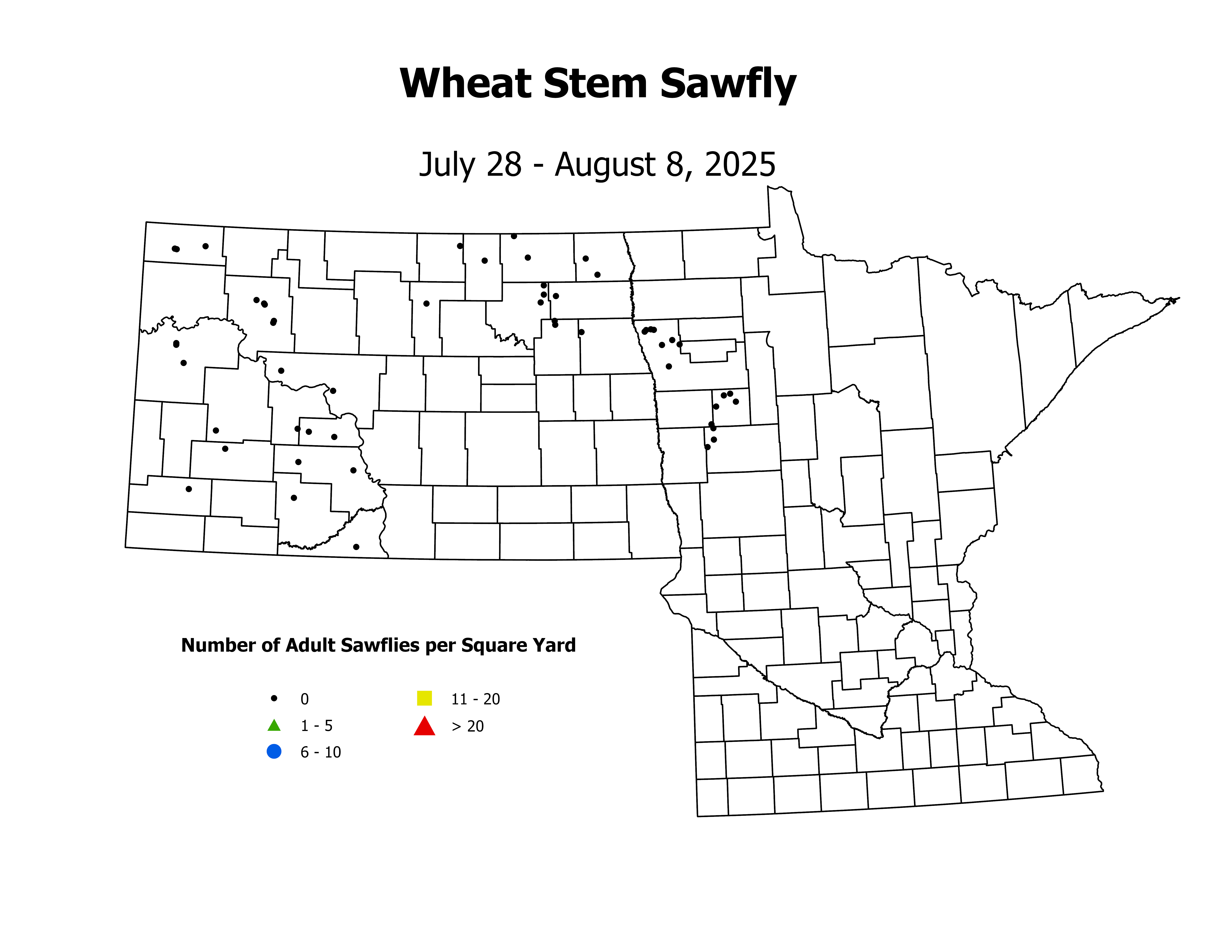 wheat_WSSF_sqyd_2025July28ToAugust8