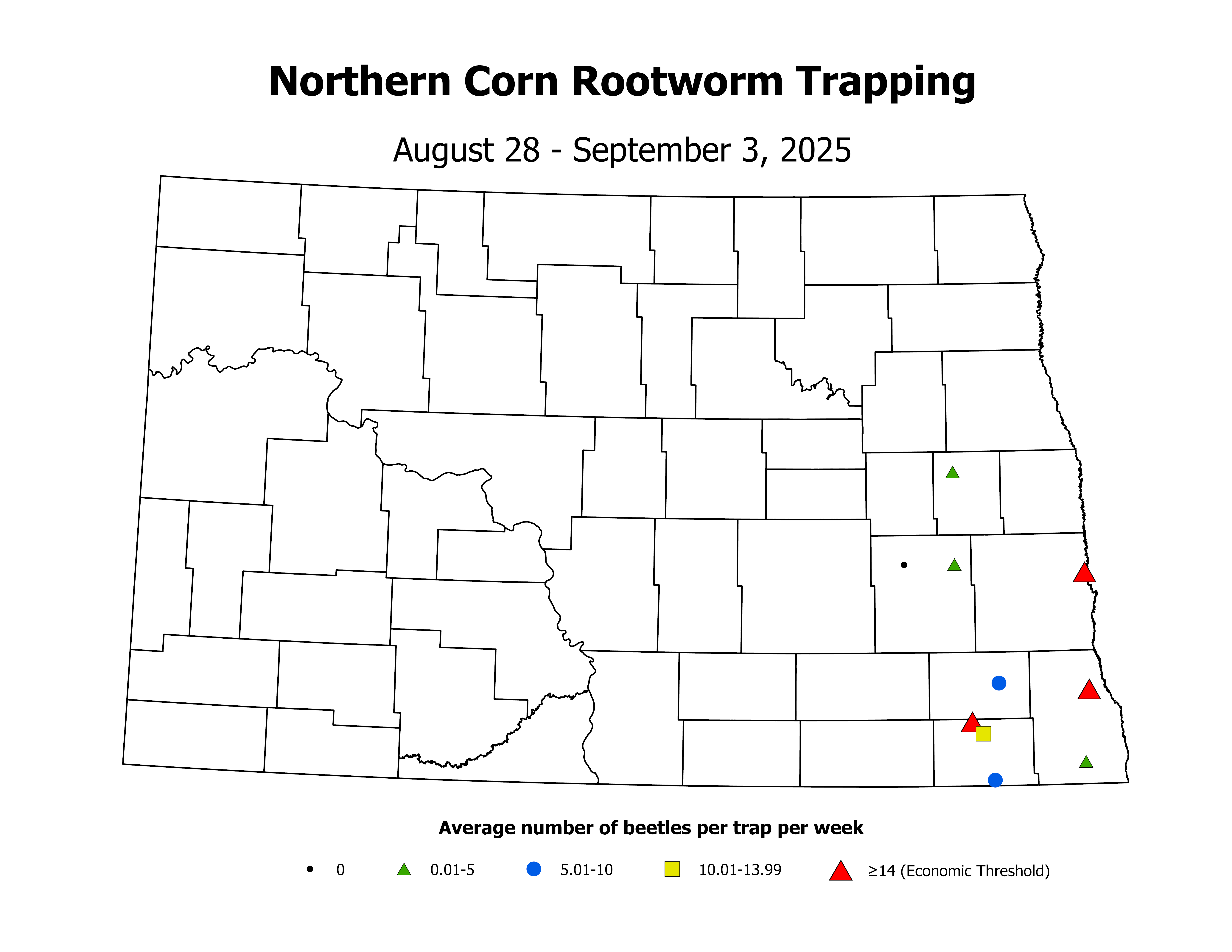 corn_Avg_NCR_2025August28ToSeptember3