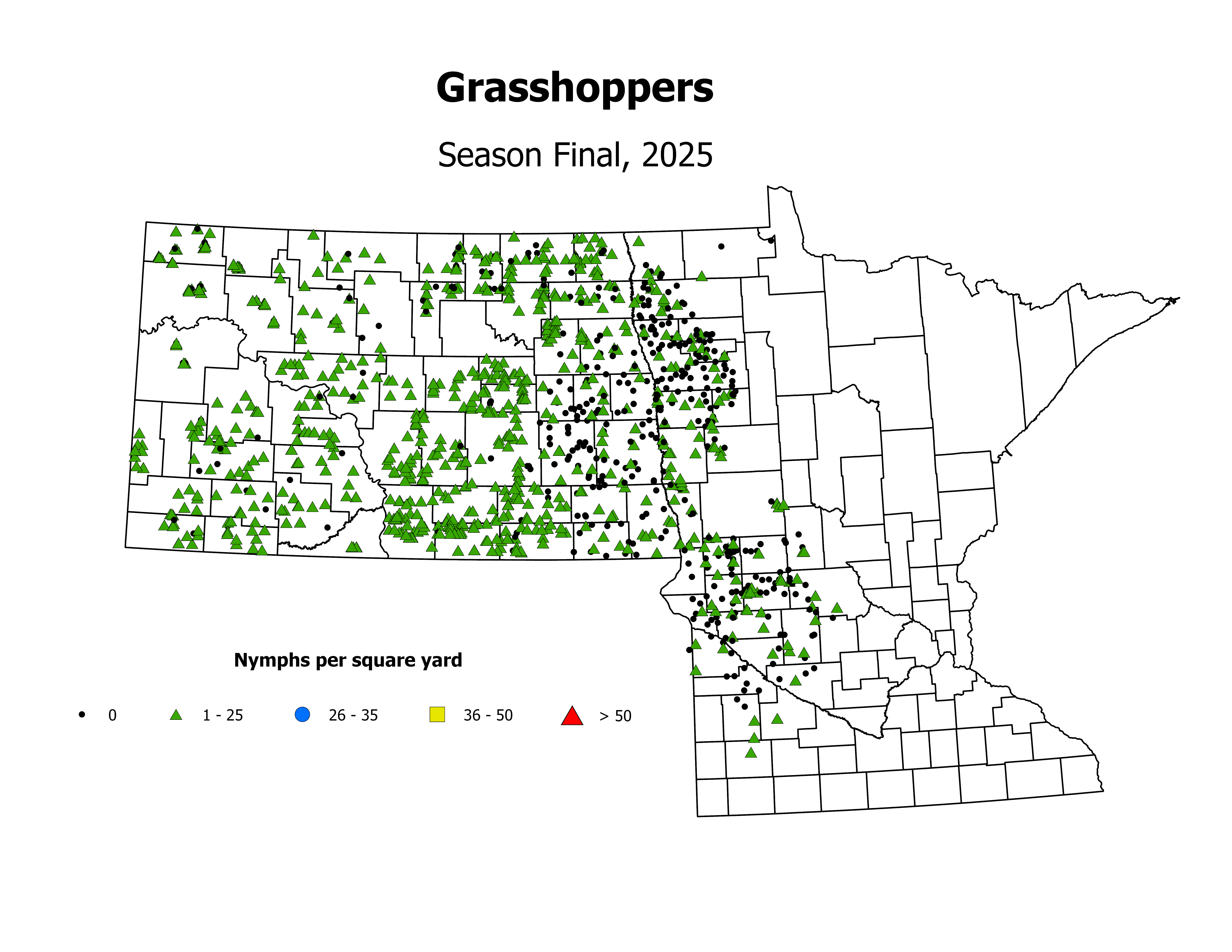 grasshopper_Nymph_sqyd_SeasonFinal2025