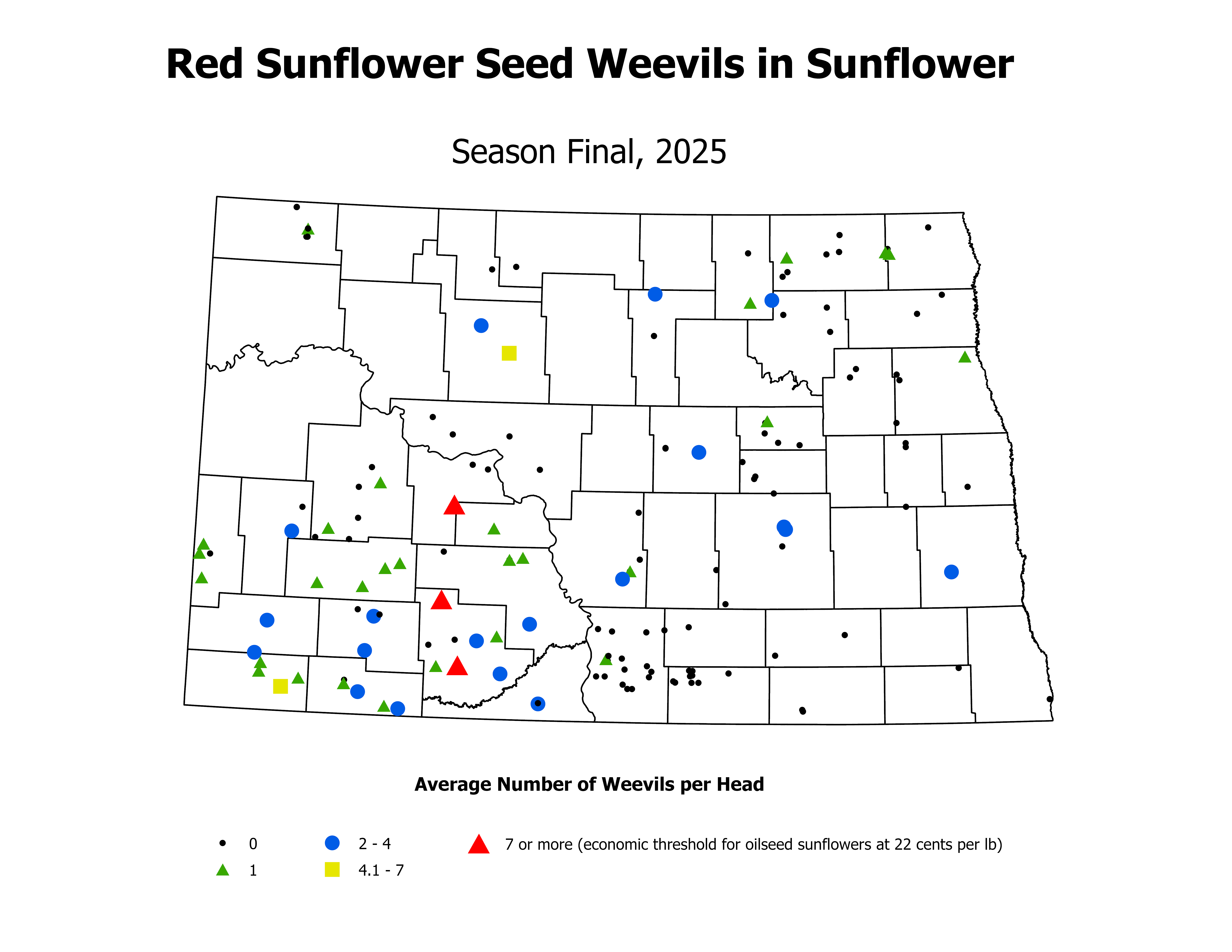 sunflower_RSW_Head_SeasonFinal2025