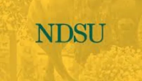Bison yellow