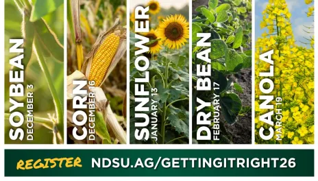 Soybean, corn, sunflower, dry bean, and canola workshops