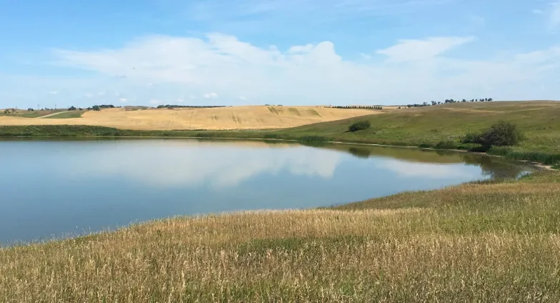 rolling grasslands with pond