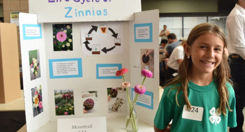 Project Expo Projects