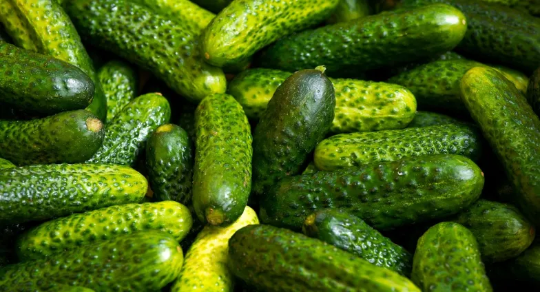 Pickle and Ferment