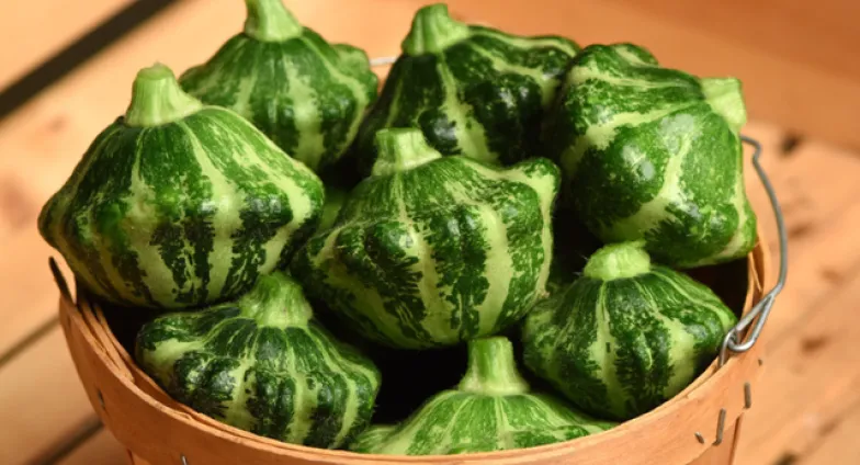 4 green striped squash