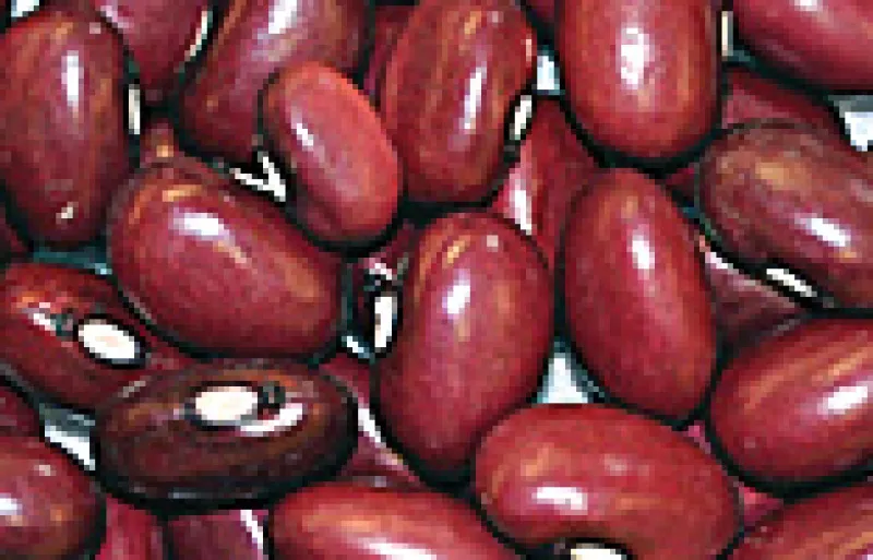 Small red beans