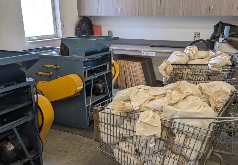 Three wire grocery carts, two full of tagged cloth bags with grain, sit near two small blue and yellow grain cleaners.