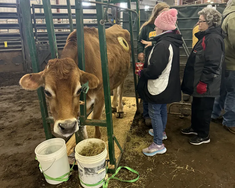 MEM Steer