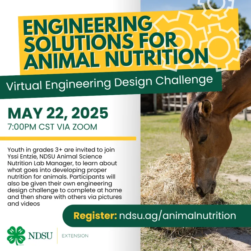 Virtual Engineering Design Challenge: Engineering Solutions for Animal Nutrition