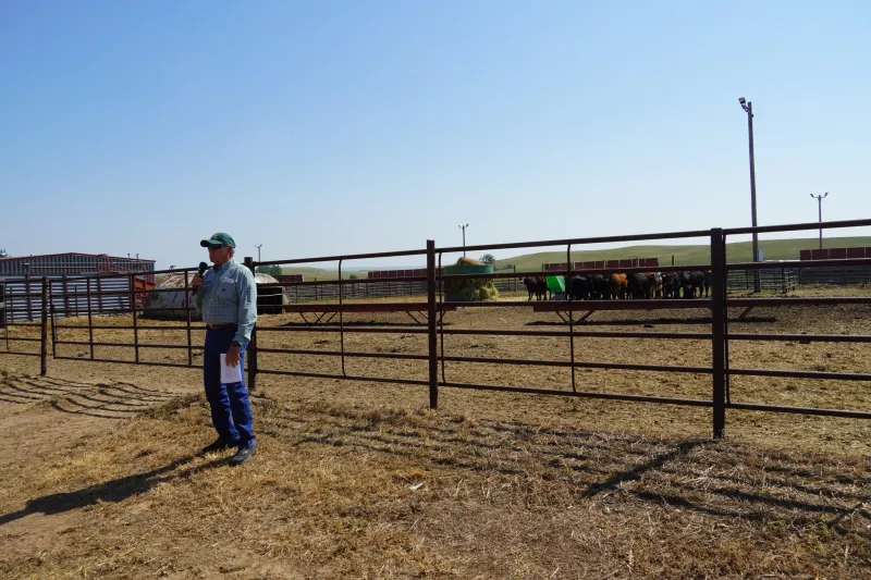 A man speaks to a crowd with his back facing a livestock pen