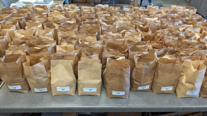 brown bags with labels containing subsampled wheat