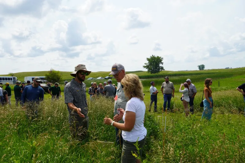 people observing a grassy field