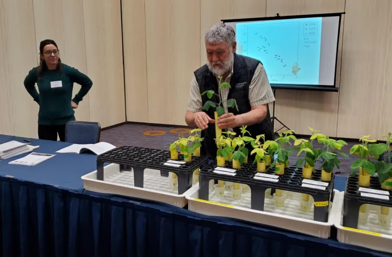 Presenter showing young plant samples during an indoor workshop with trays of seedlings on a table