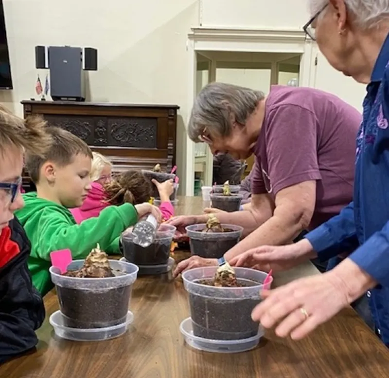 elderly women help children pot amaryllis plants 