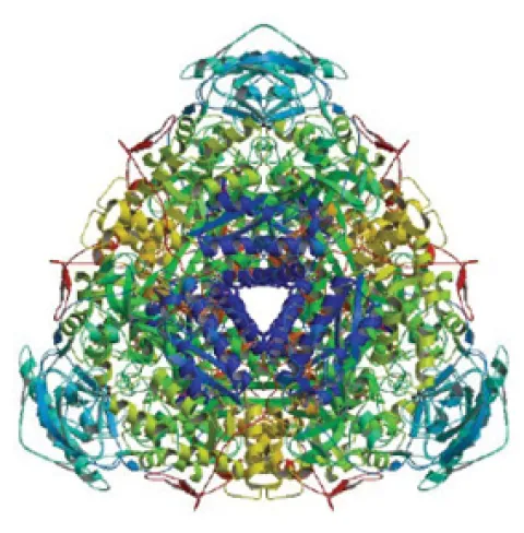 Figure 9.