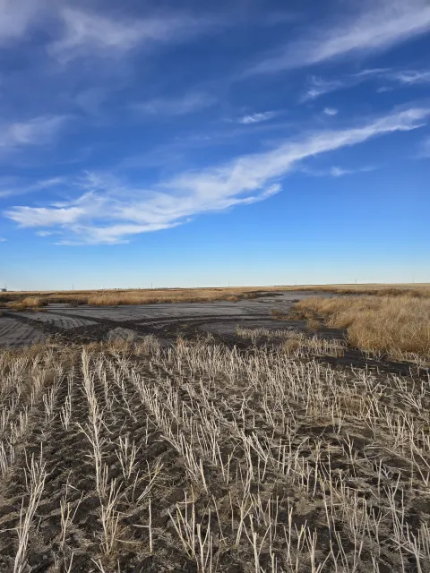 Photo of one of Egla's agricultural research sampling locations