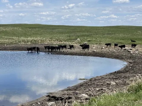 Livestock Extension Pic 2